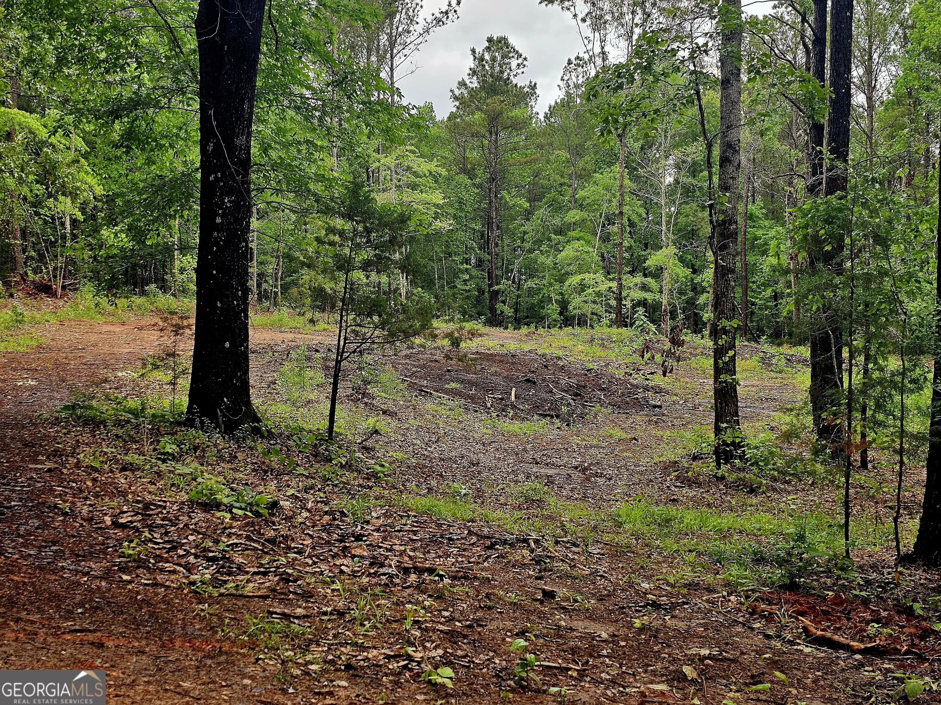 0 School House Hill Rd — photo 5 of 8