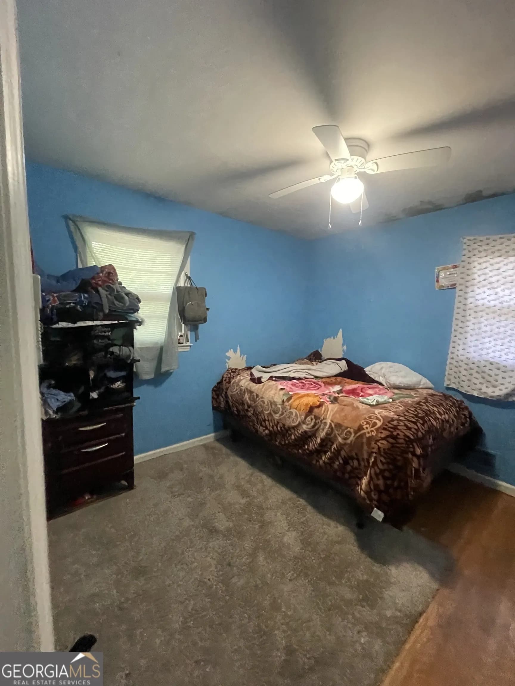 810 Stewart St — photo 9 of 17