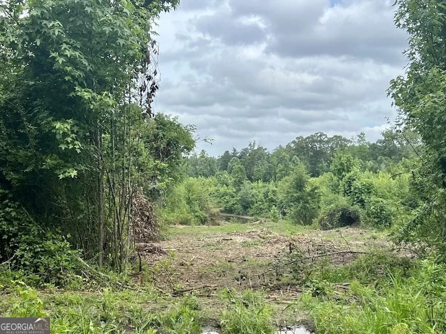 0 Folds Rd (tract D 22.67 Acres) — photo 2 of 7