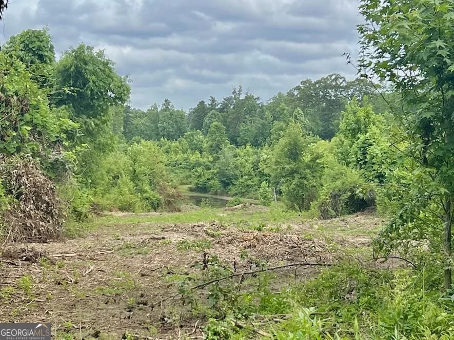 0 Folds Rd (tract D 22.67 Acres) — photo 4 of 7