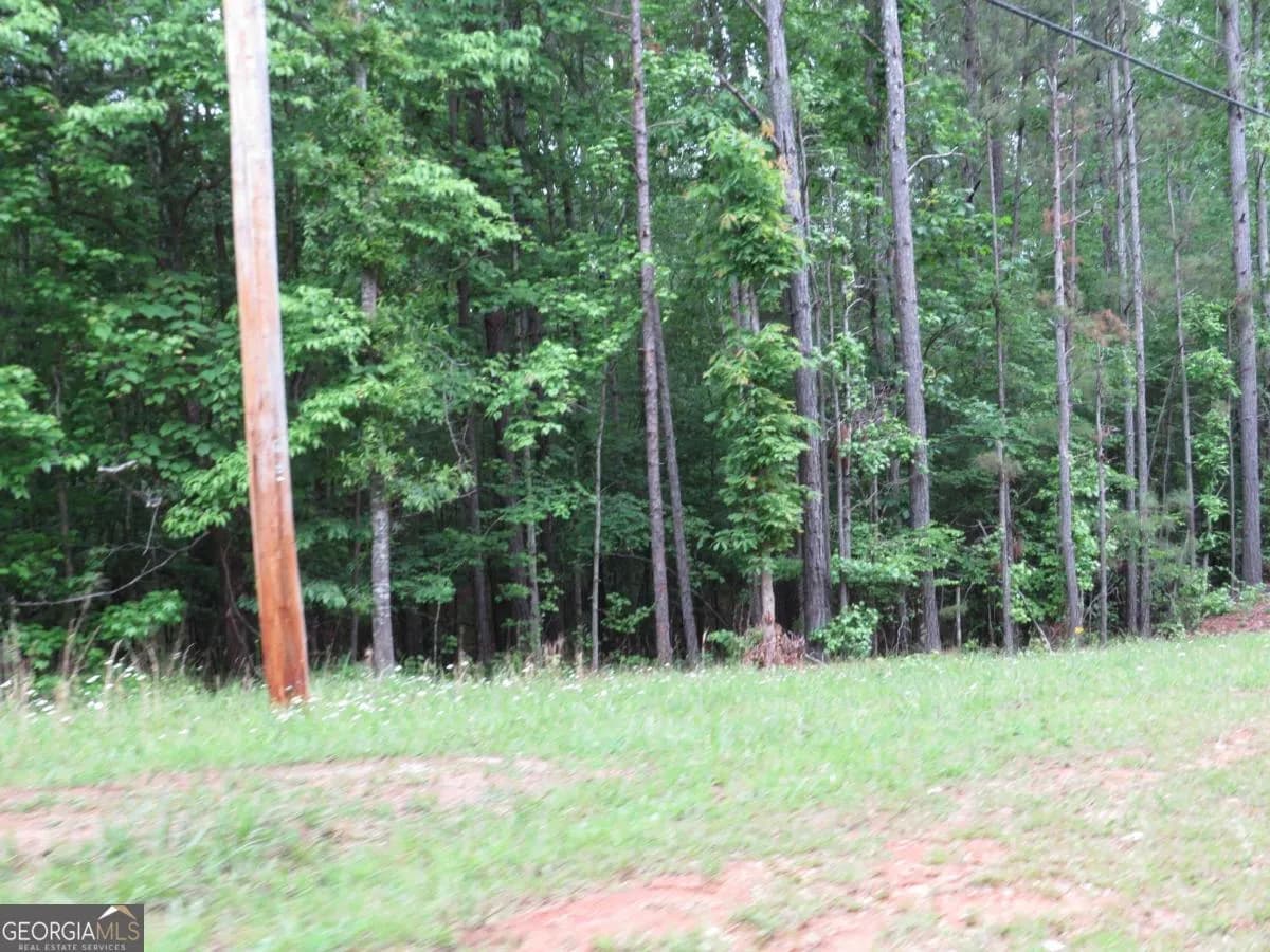 0 Doke Cohran Rd — photo 11 of 11
