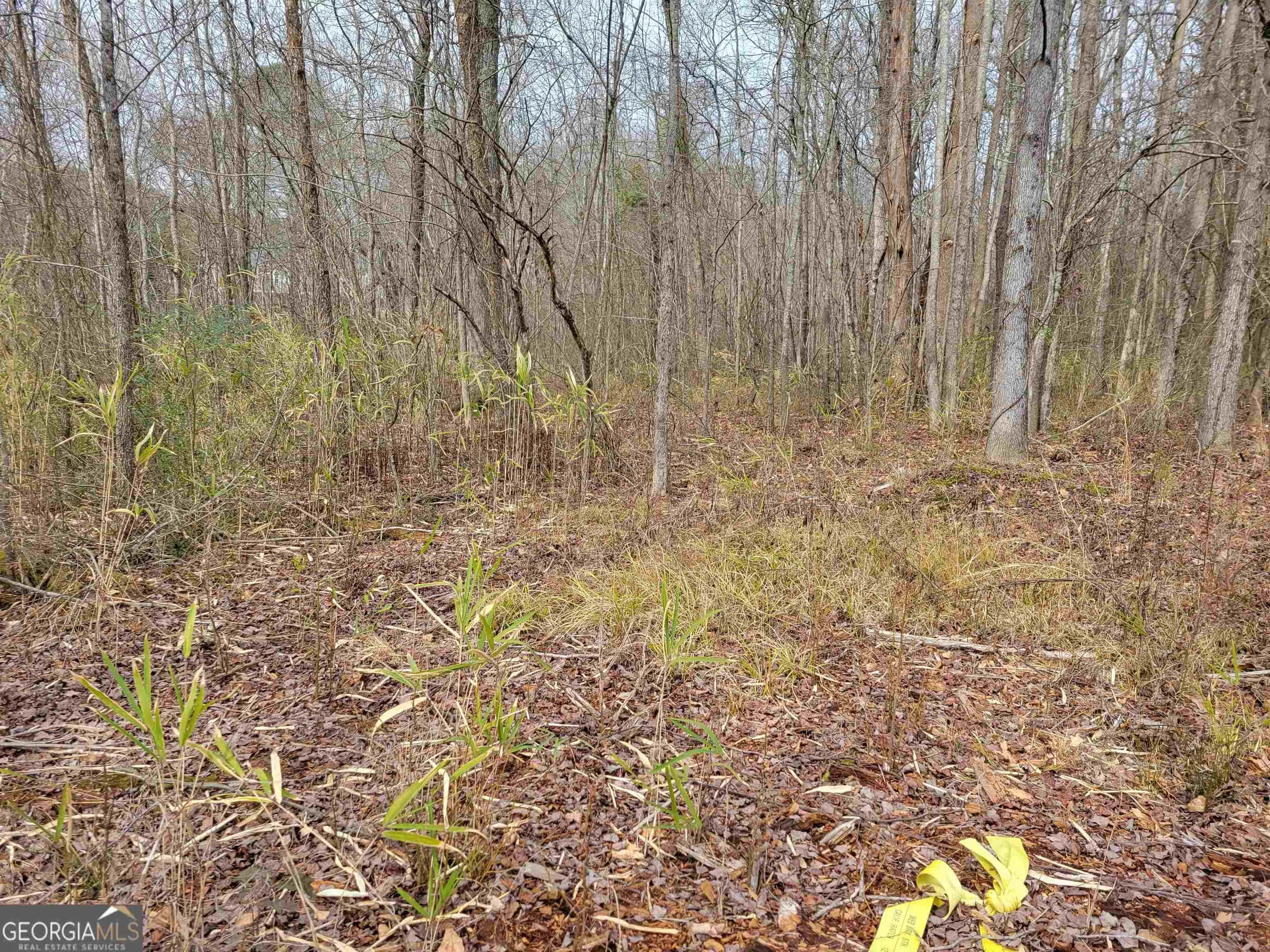 0 Lakeridge Dr — photo 6 of 6