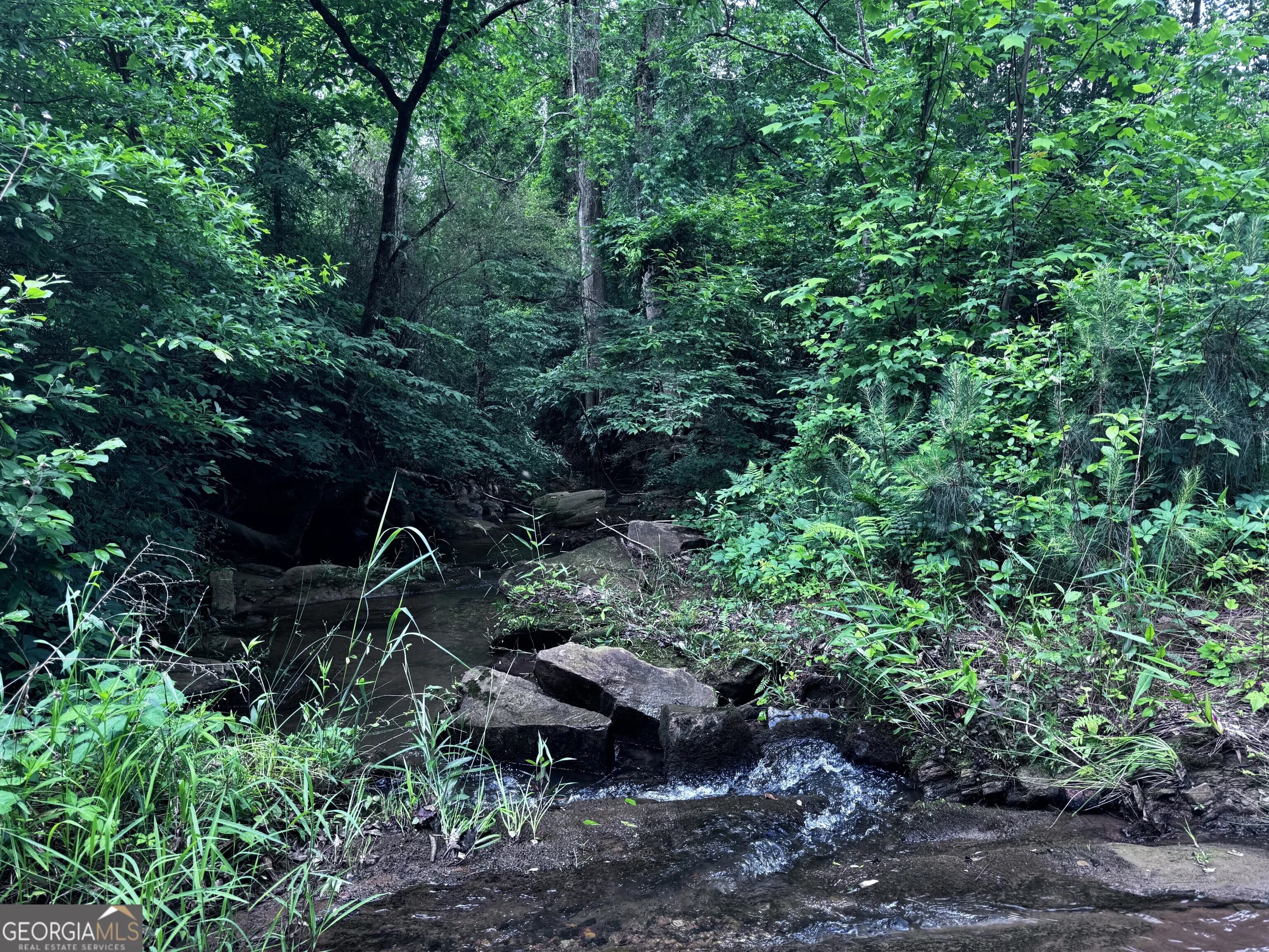 715+/- Ac Ridgeway Rd — photo 12 of 14
