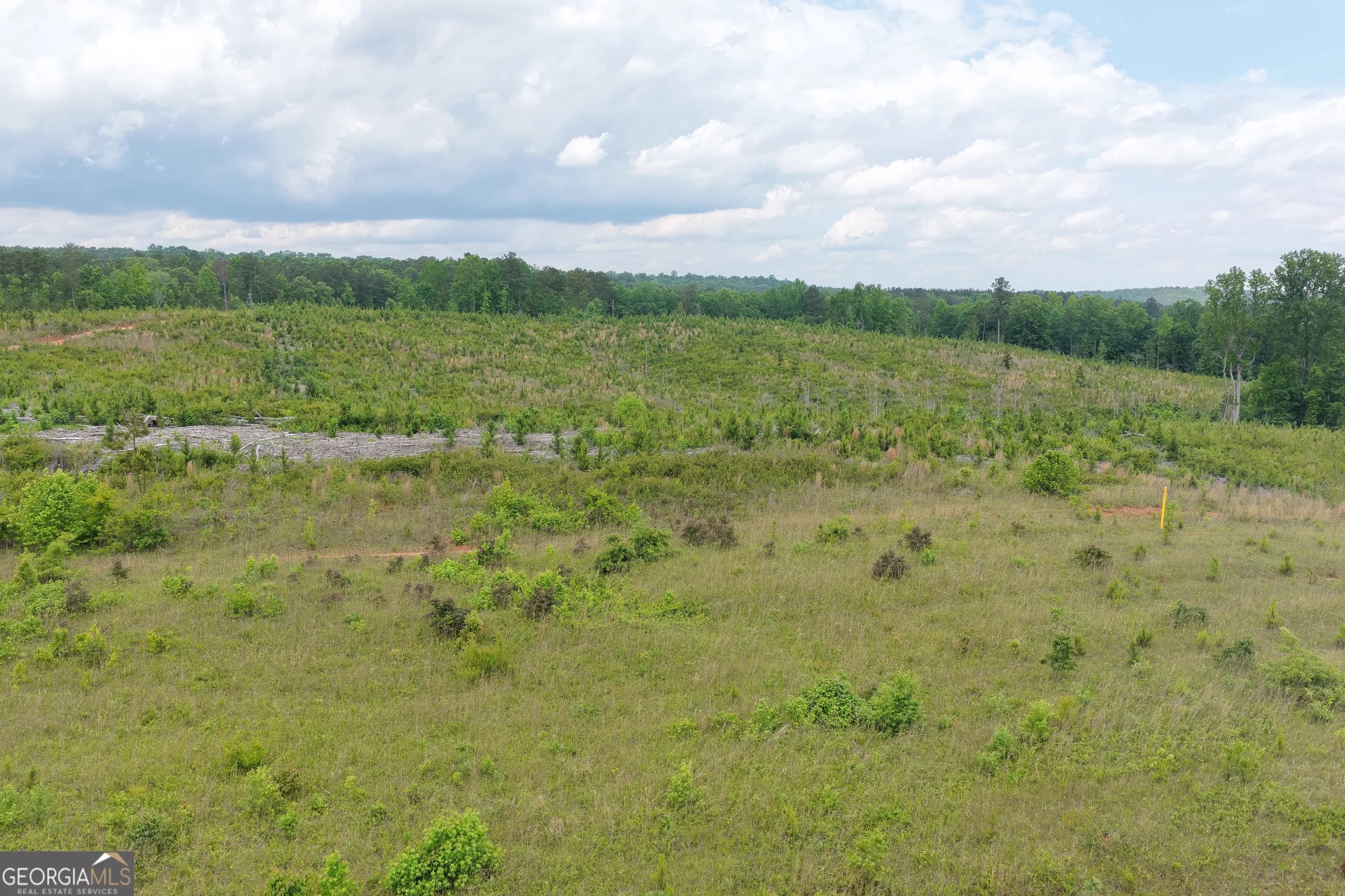 715+/- Ac Ridgeway Rd — photo 3 of 14
