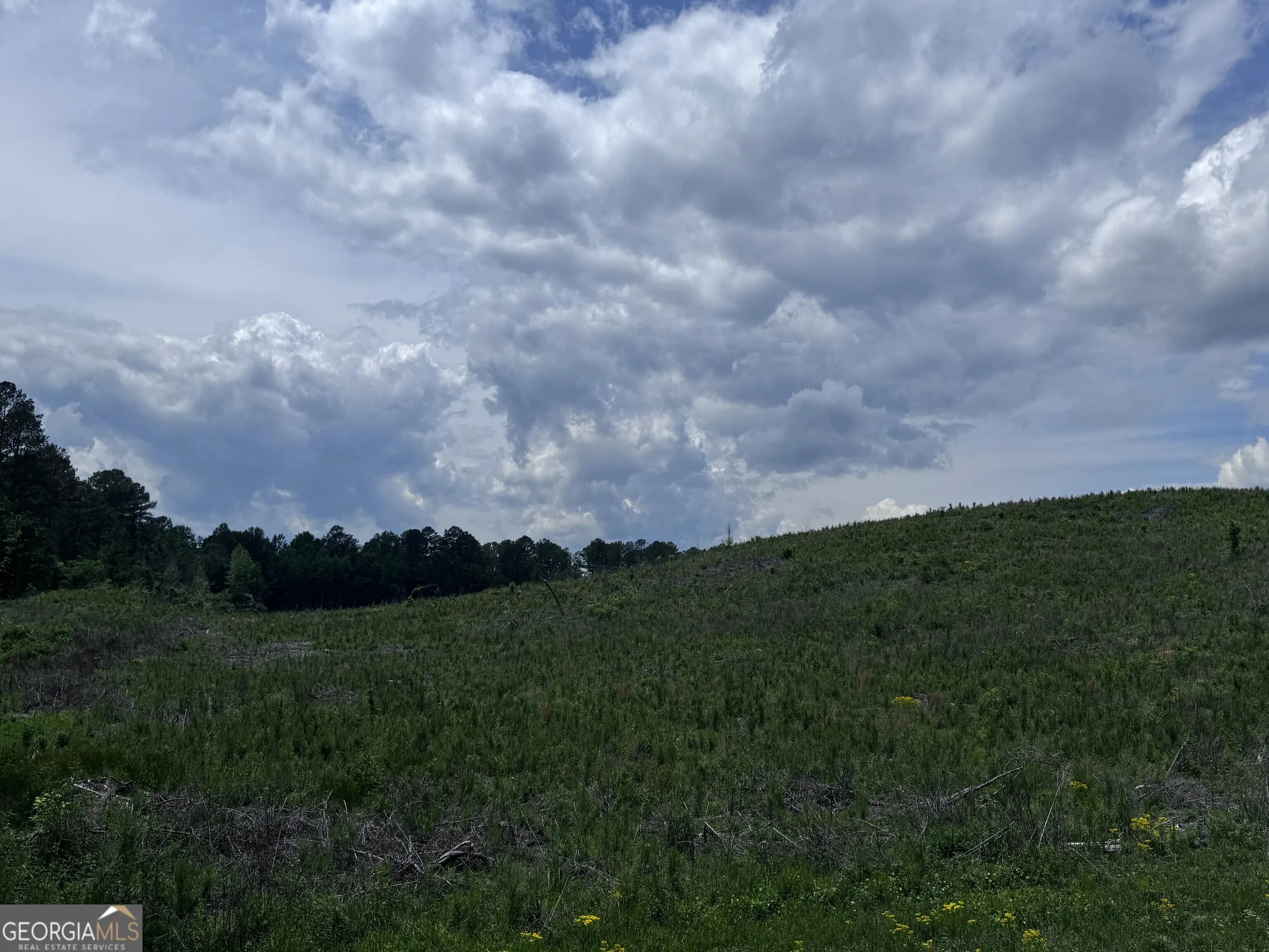 715+/- Ac Ridgeway Rd — photo 10 of 14