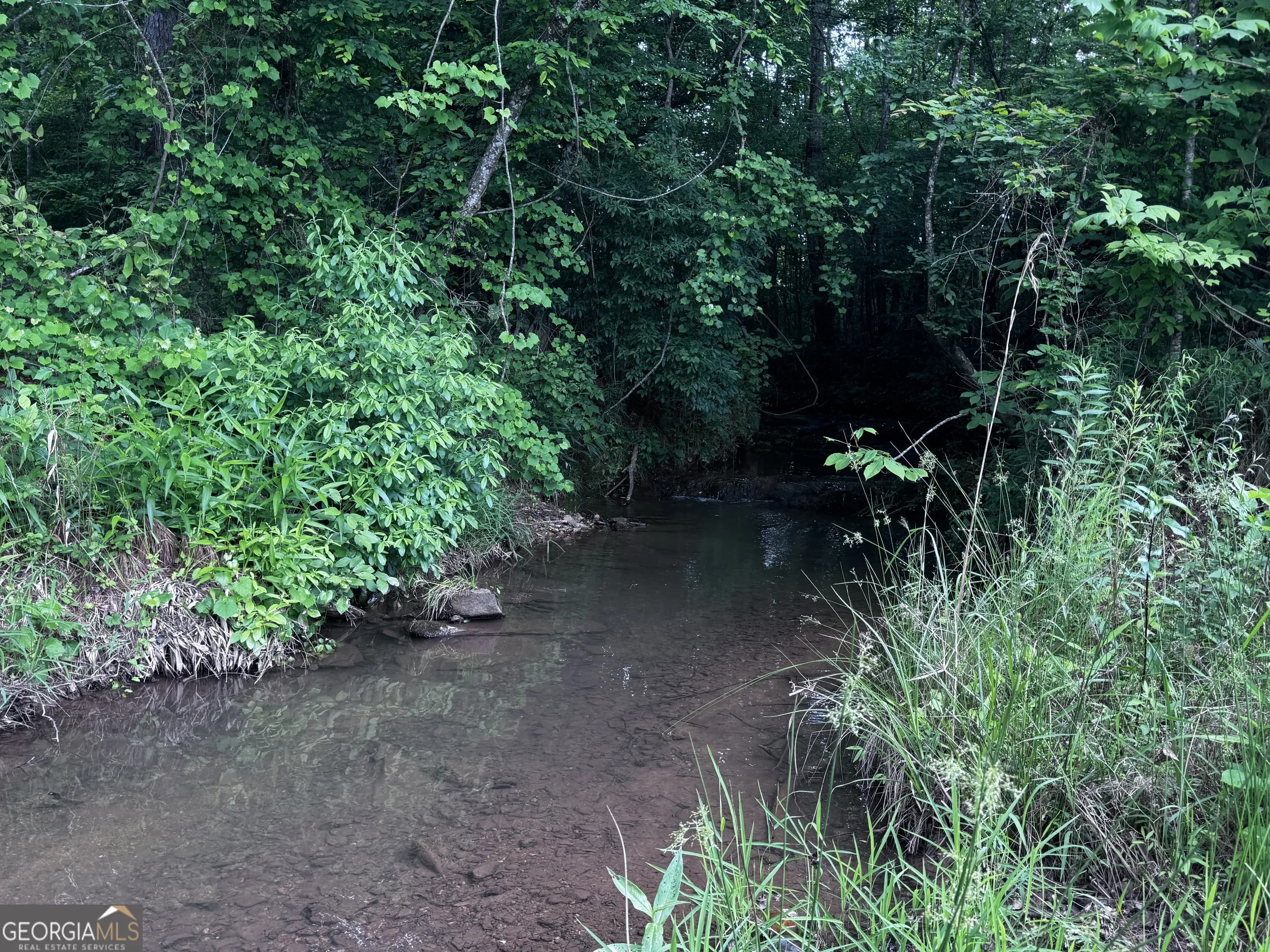 715+/- Ac Ridgeway Rd — photo 13 of 14