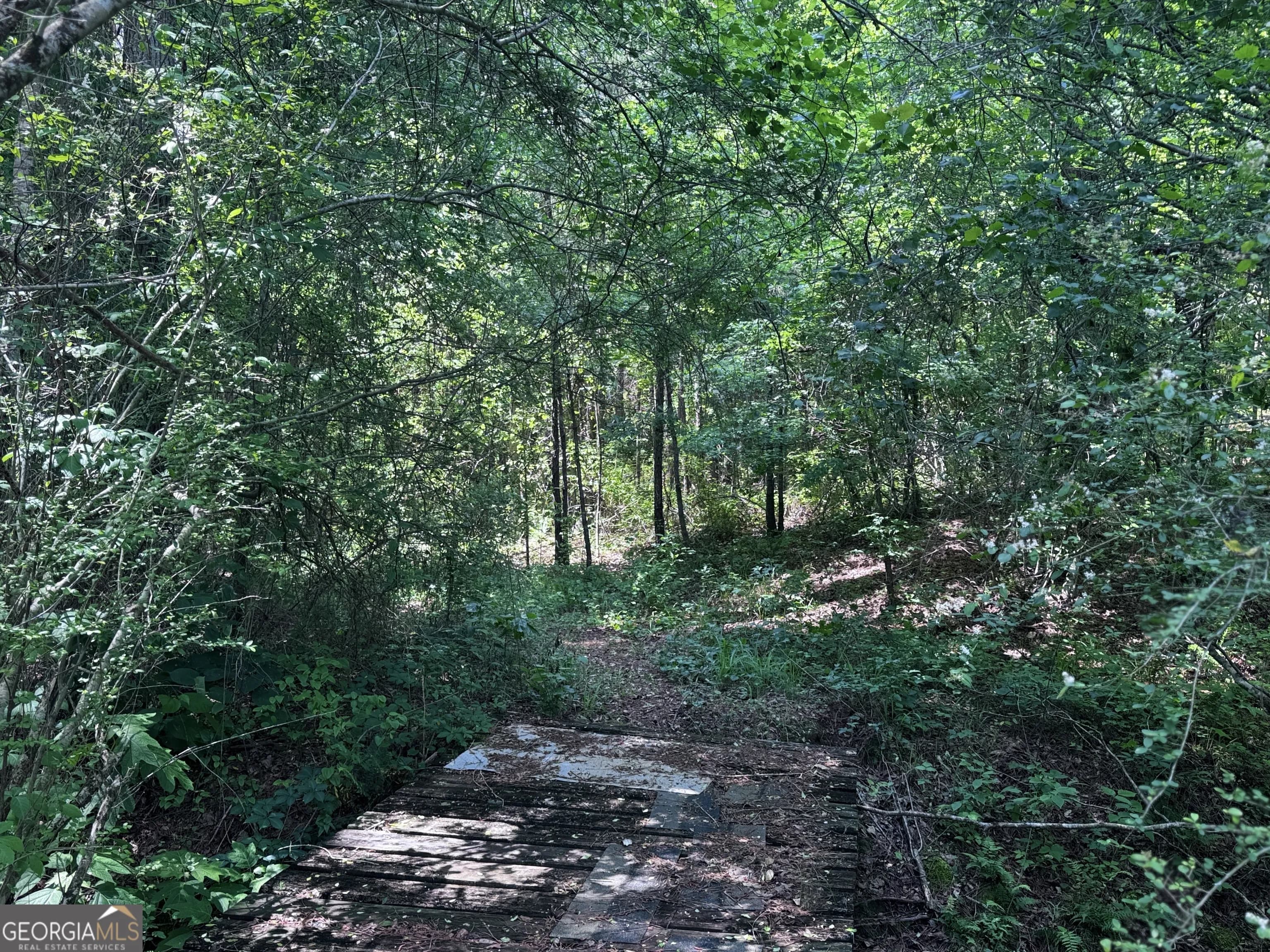 715+/- Ac Ridgeway Rd — photo 9 of 14