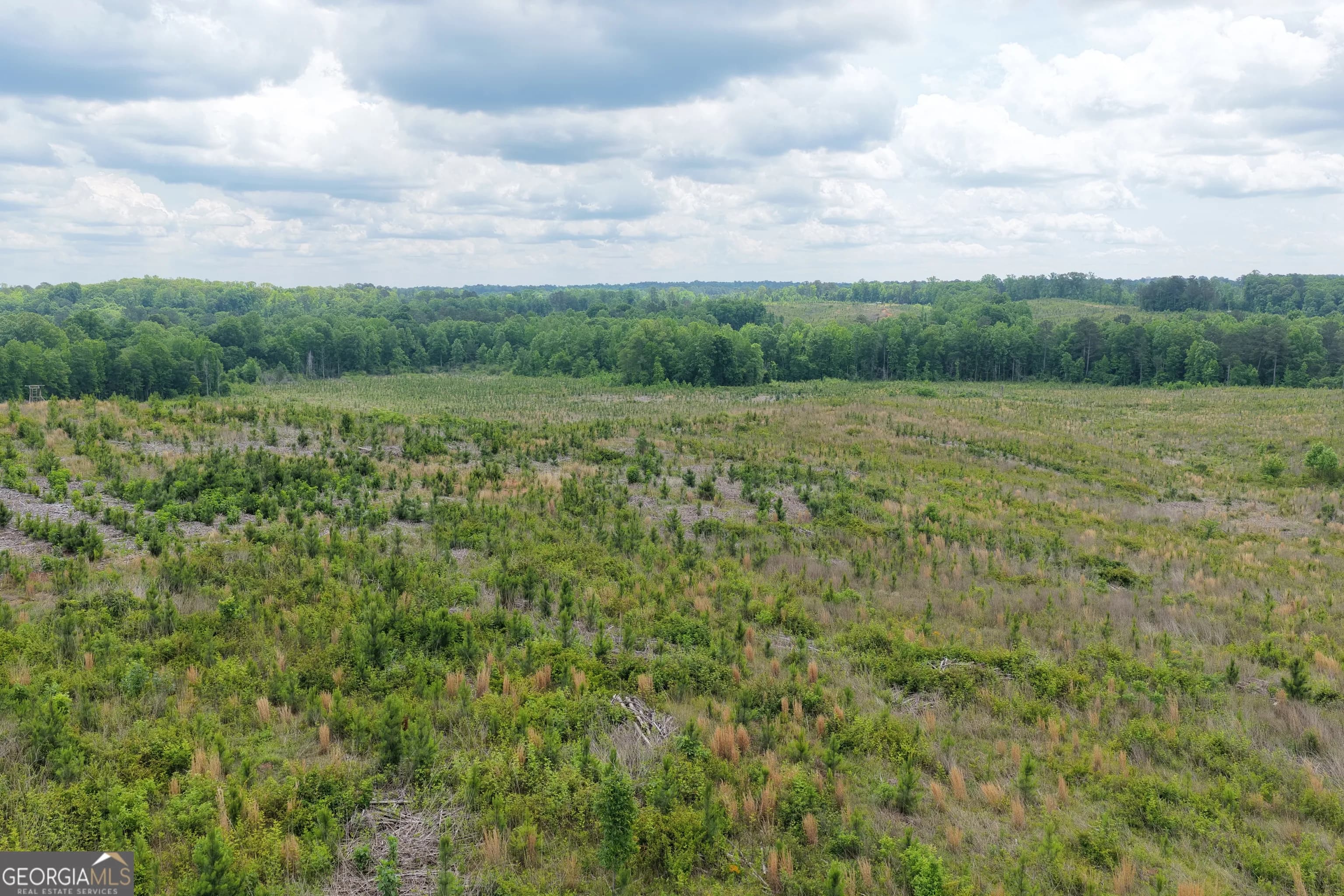715+/- Ac Ridgeway Rd — photo 4 of 14
