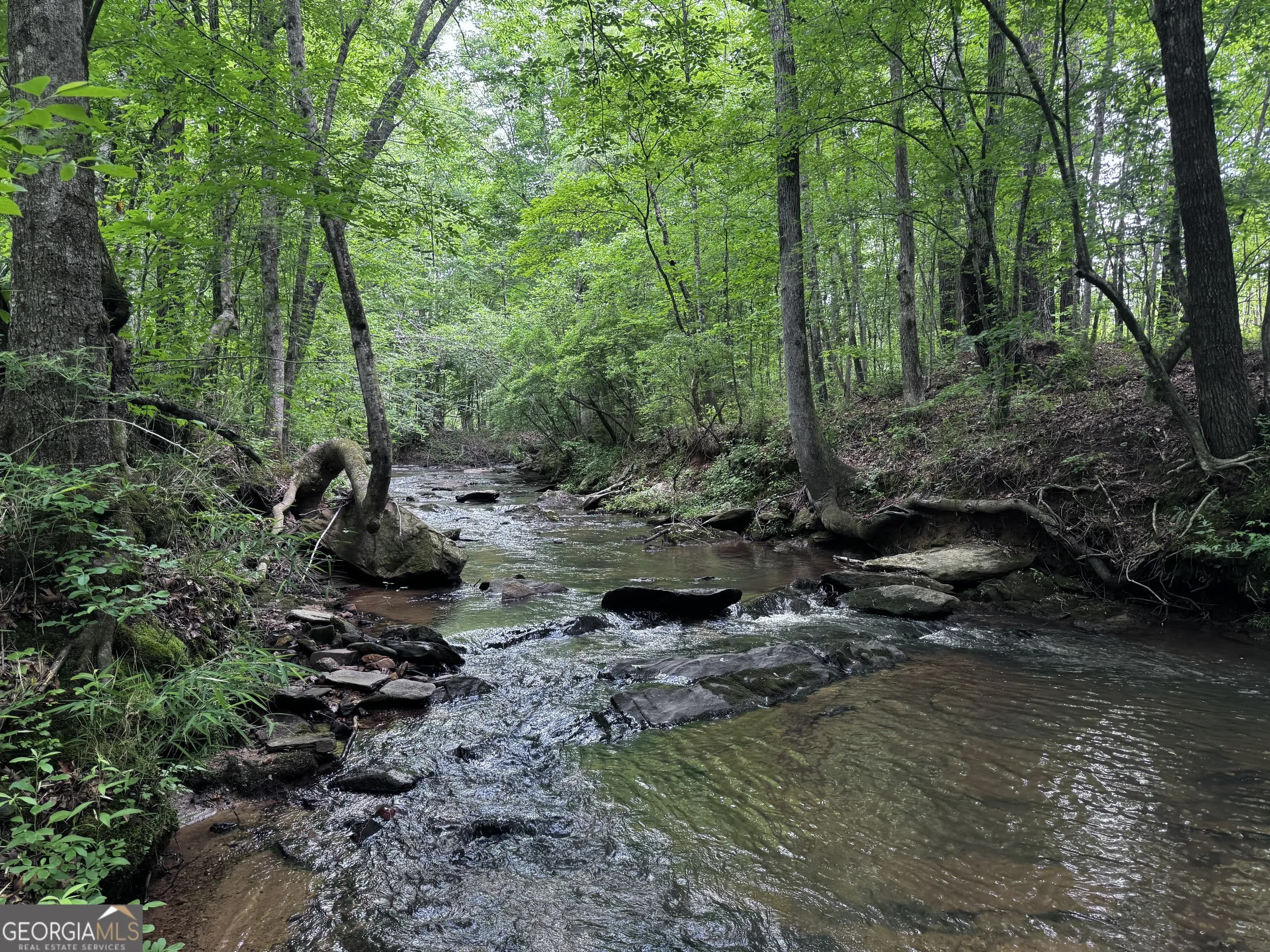 715+/- Ac Ridgeway Rd, Franklin