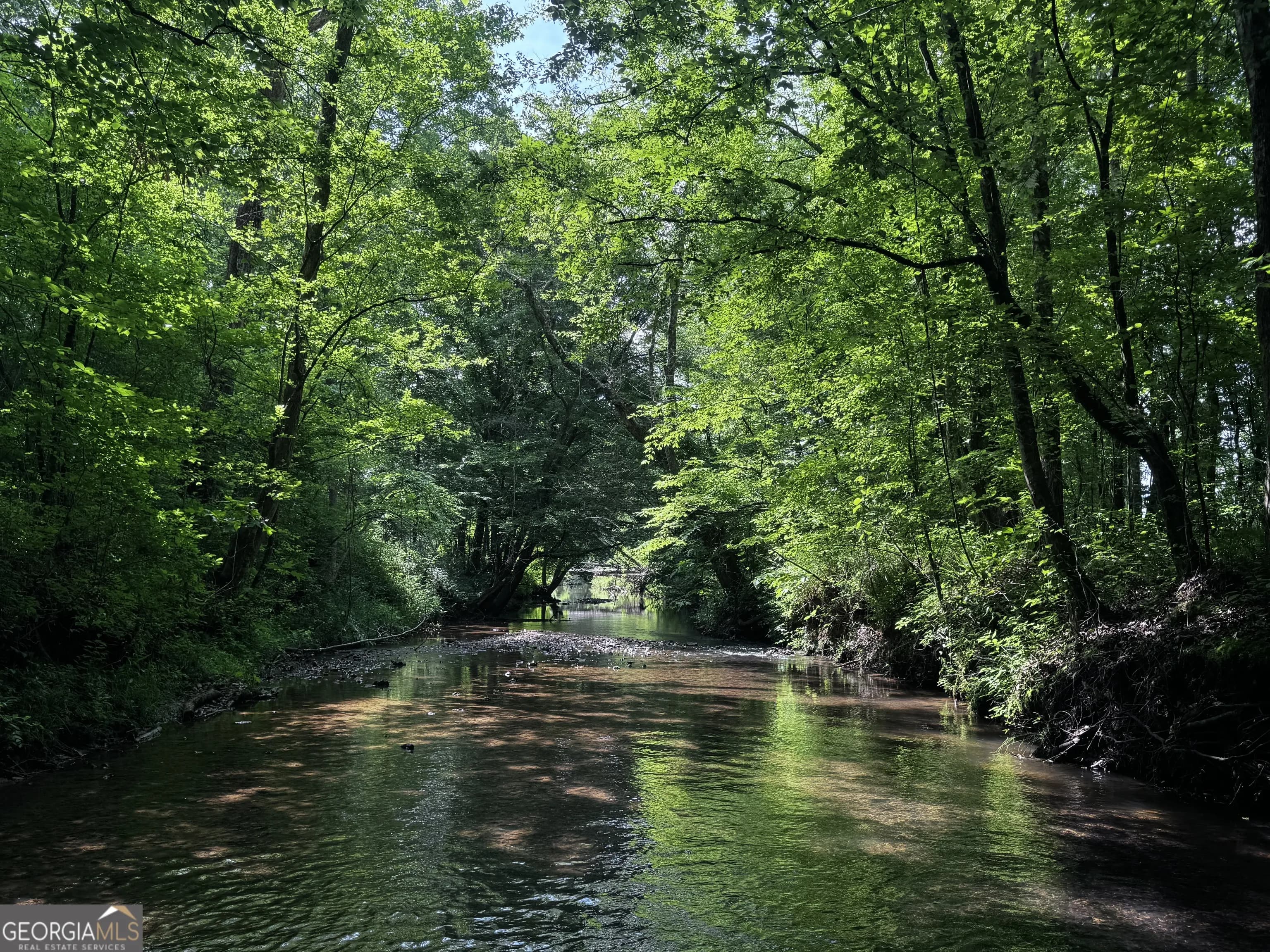 715+/- Ac Ridgeway Rd — photo 8 of 14