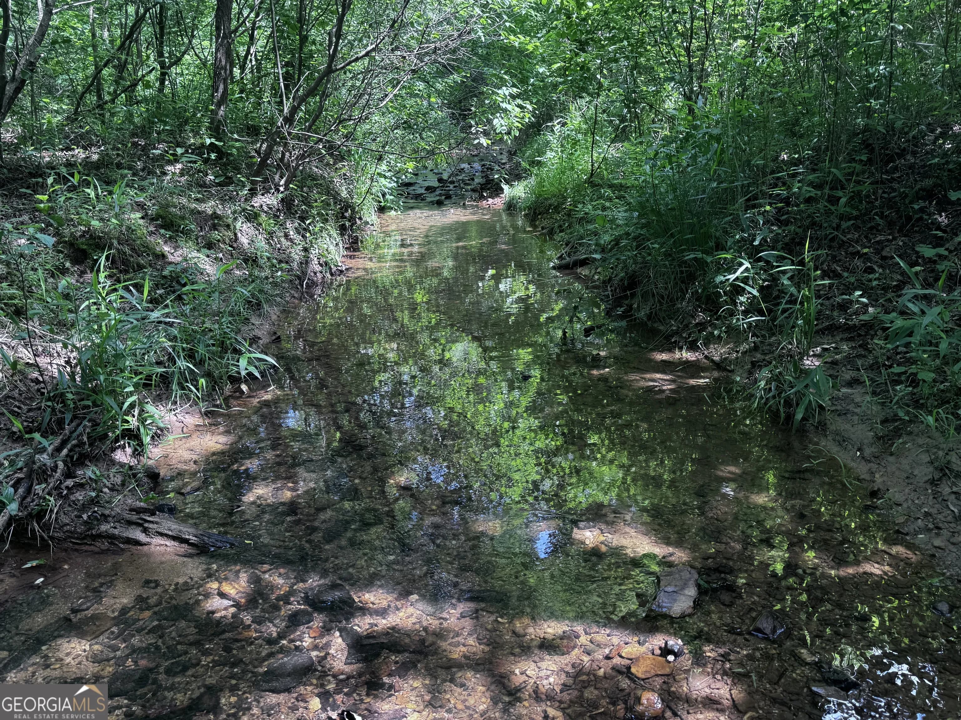 715+/- Ac Ridgeway Rd — photo 14 of 14