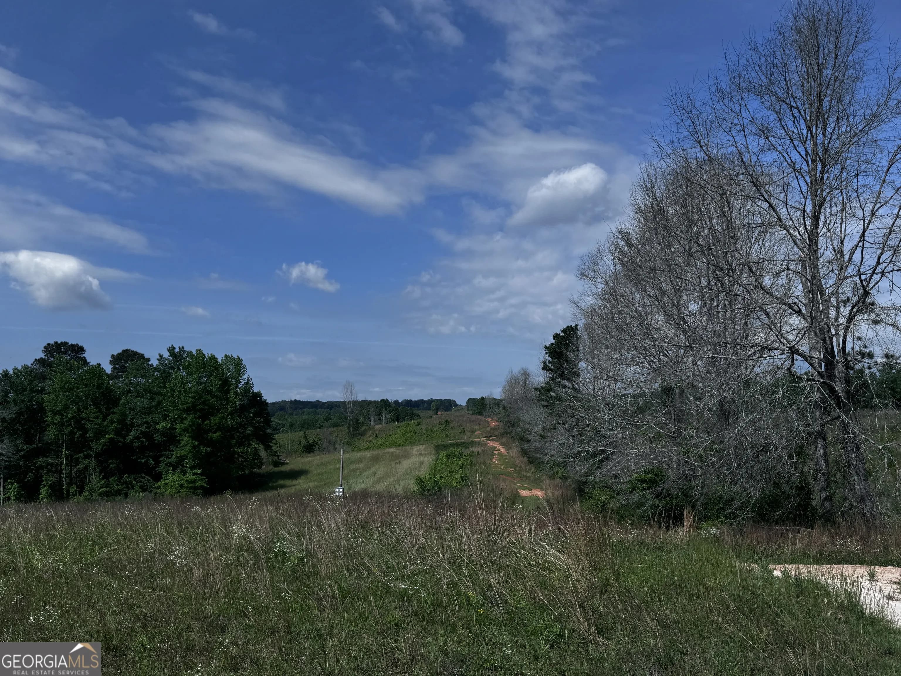 715+/- Ac Ridgeway Rd — photo 11 of 14