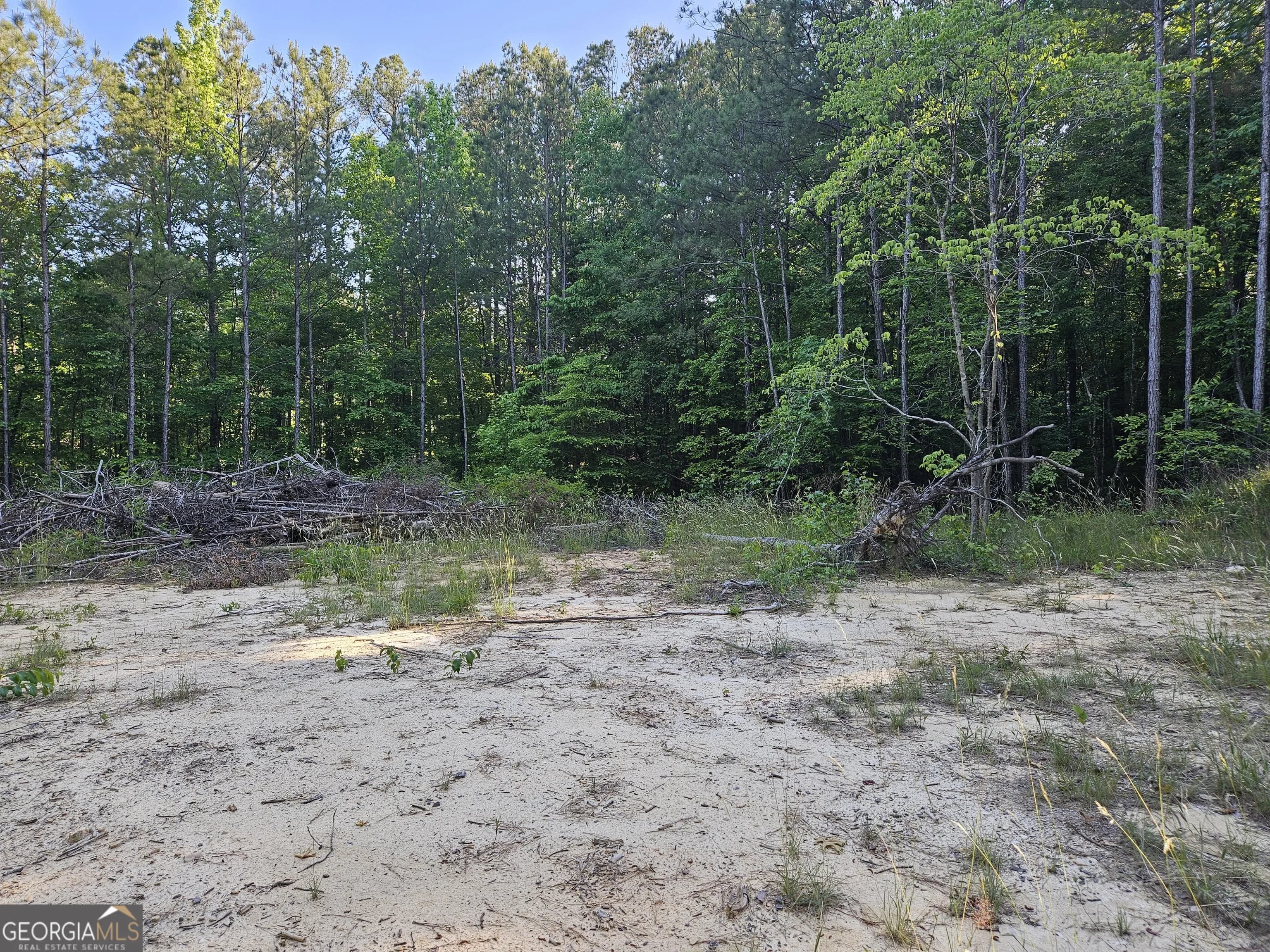 0 Ponderosa — photo 6 of 14