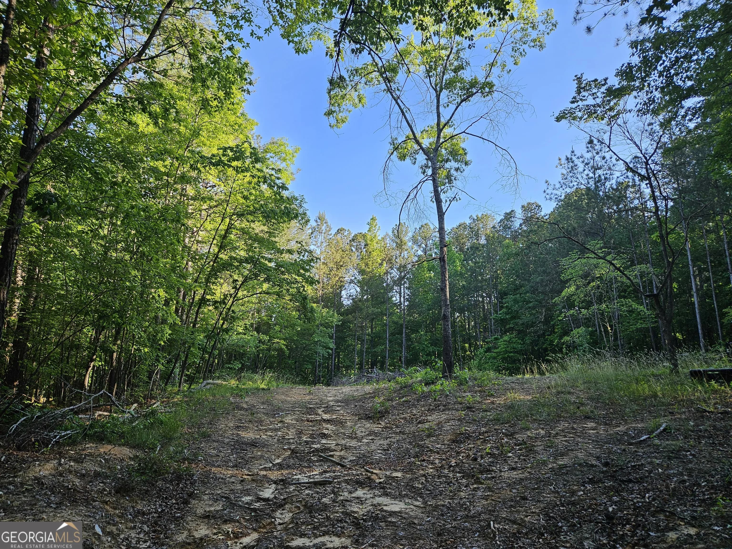0 Ponderosa — photo 3 of 14