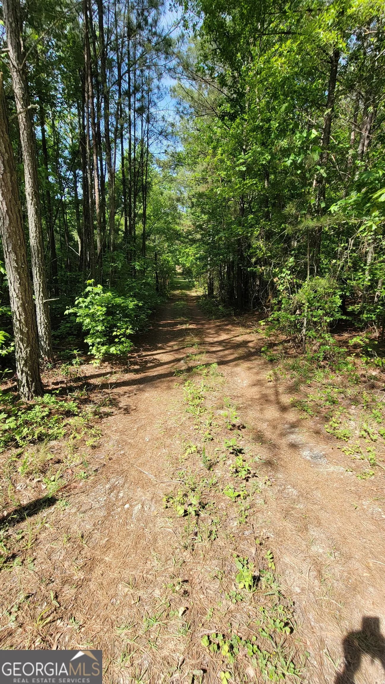 8235 West Carroll Rd — photo 5 of 12