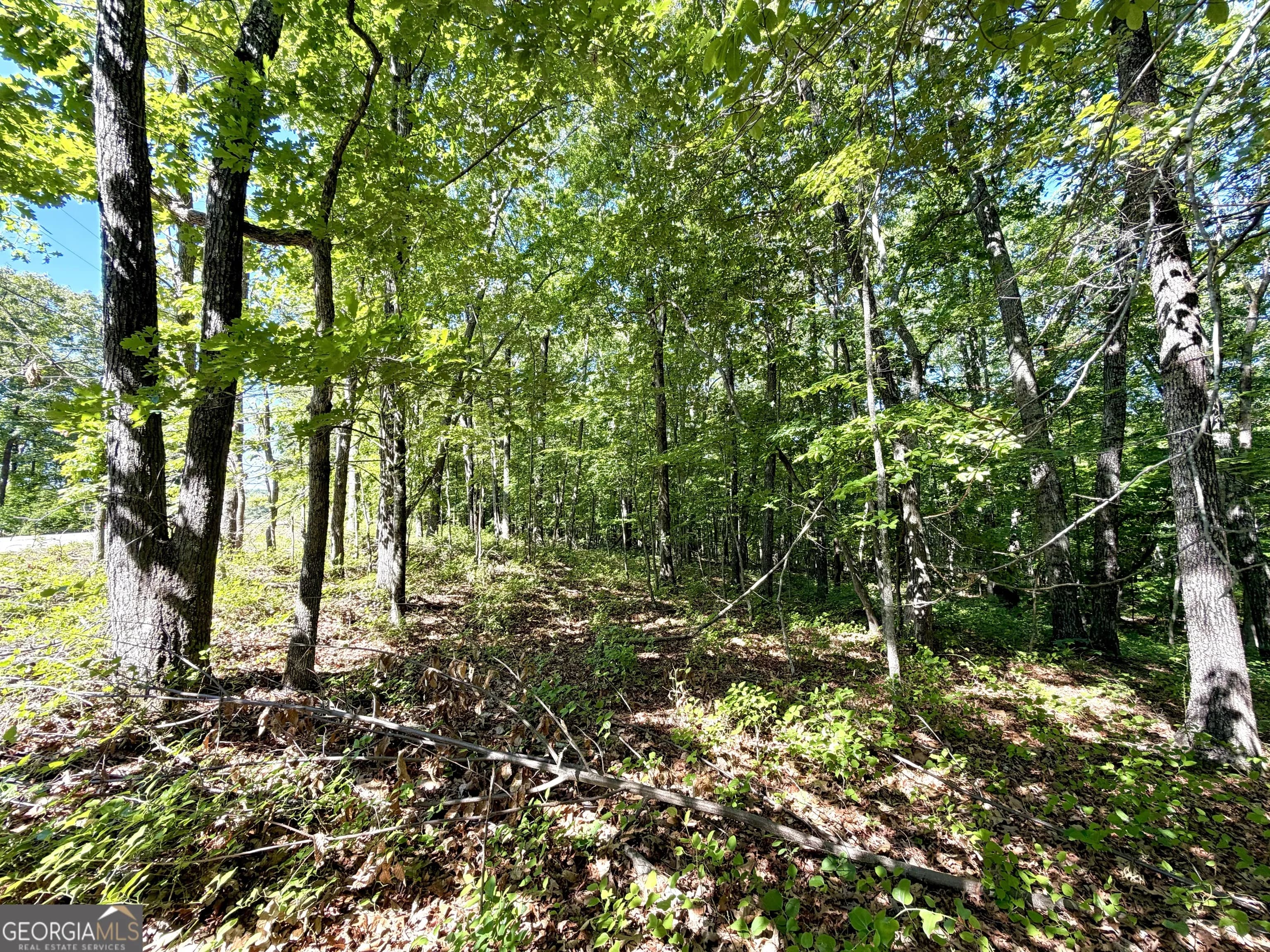 0 Leola Rd — photo 8 of 16