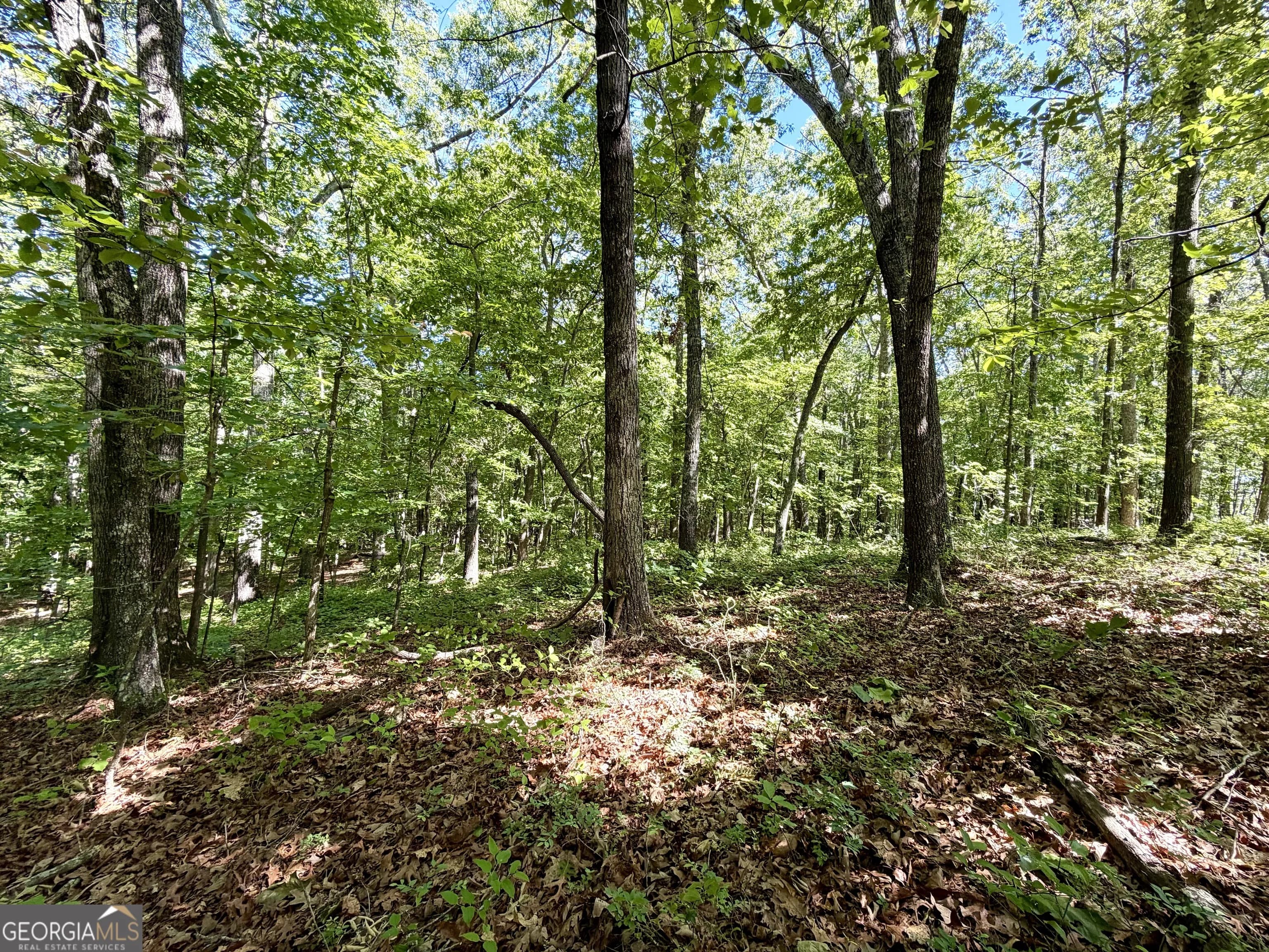 0 Leola Rd — photo 15 of 16
