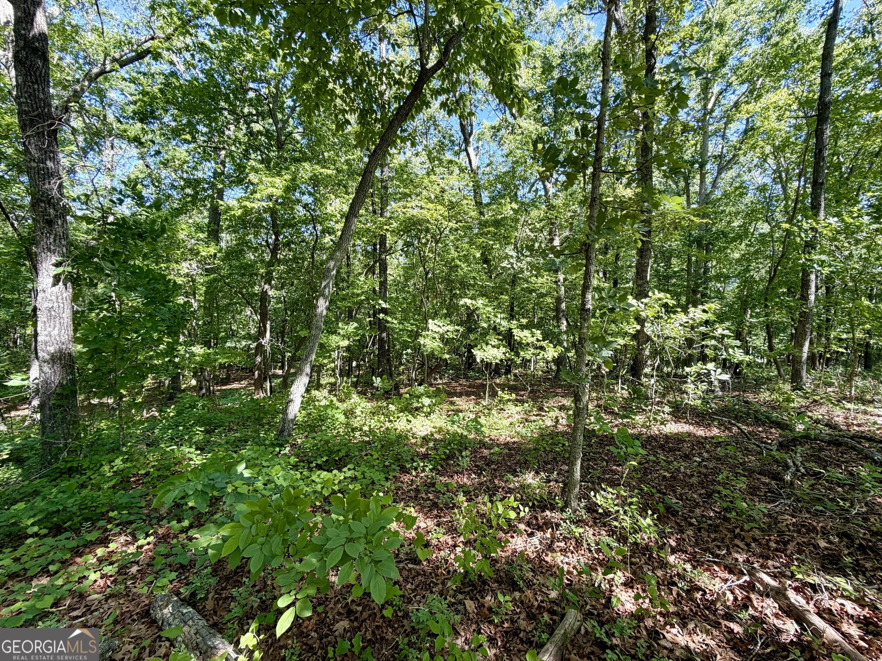 0 Leola Rd — photo 16 of 16