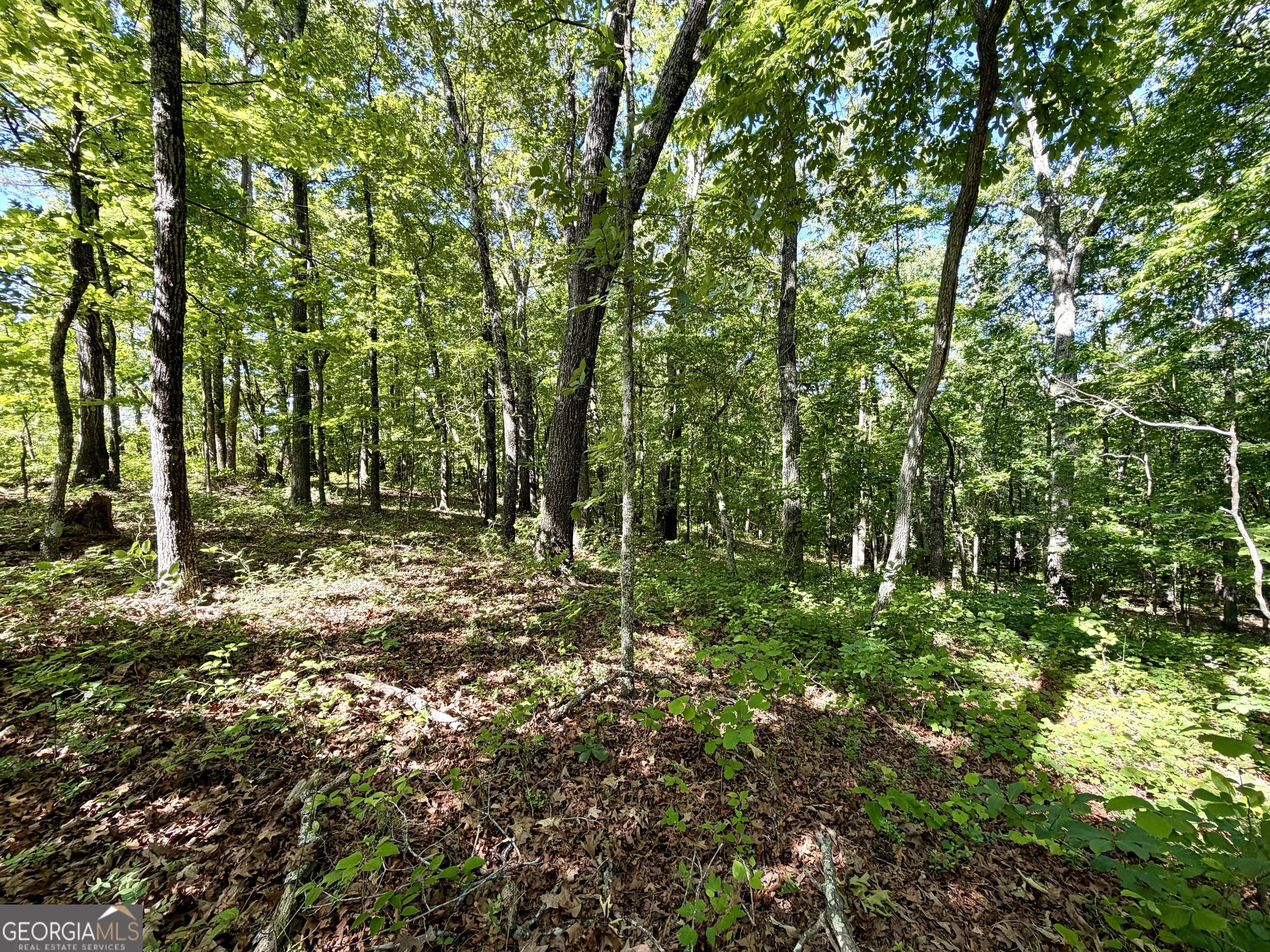 0 Leola Rd — photo 4 of 16
