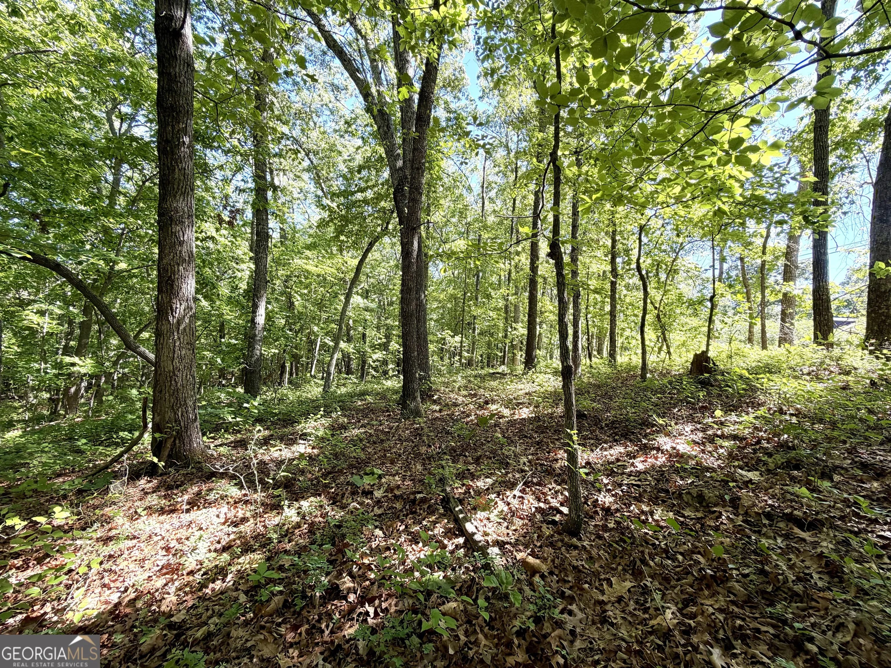 0 Leola Rd — photo 14 of 16