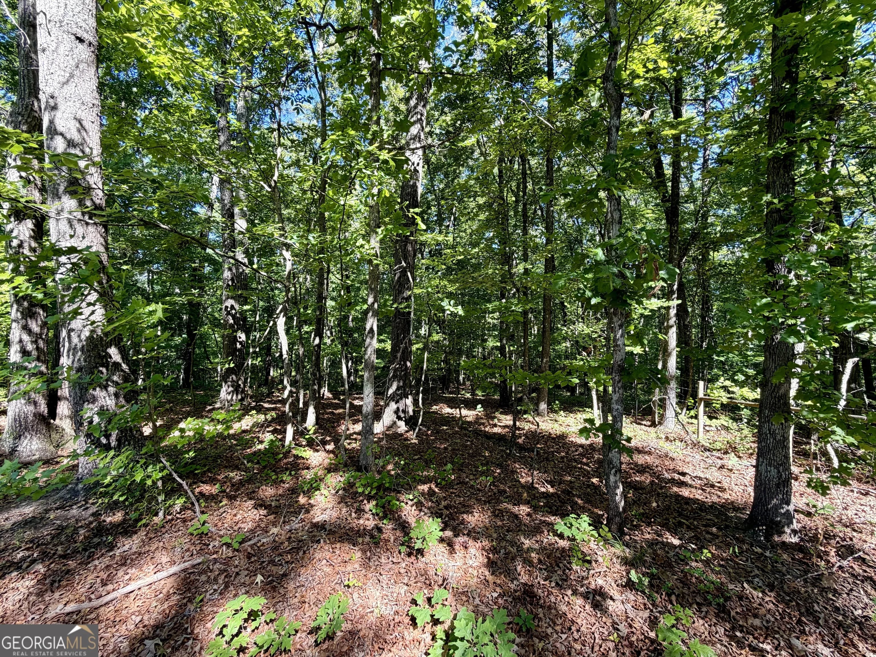 0 Leola Rd — photo 9 of 16