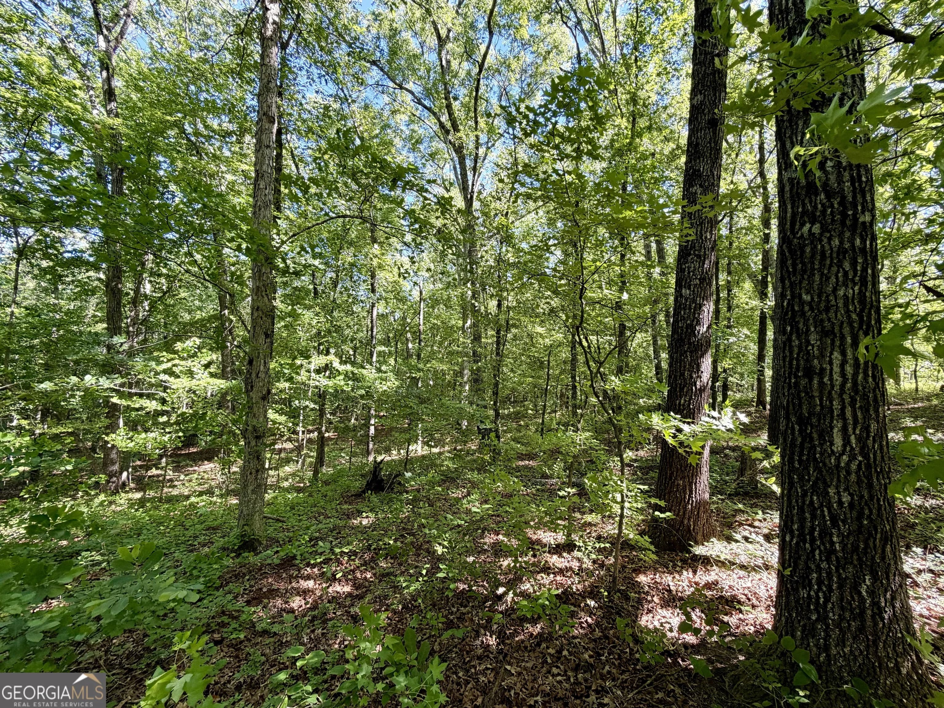 0 Leola Rd — photo 12 of 16