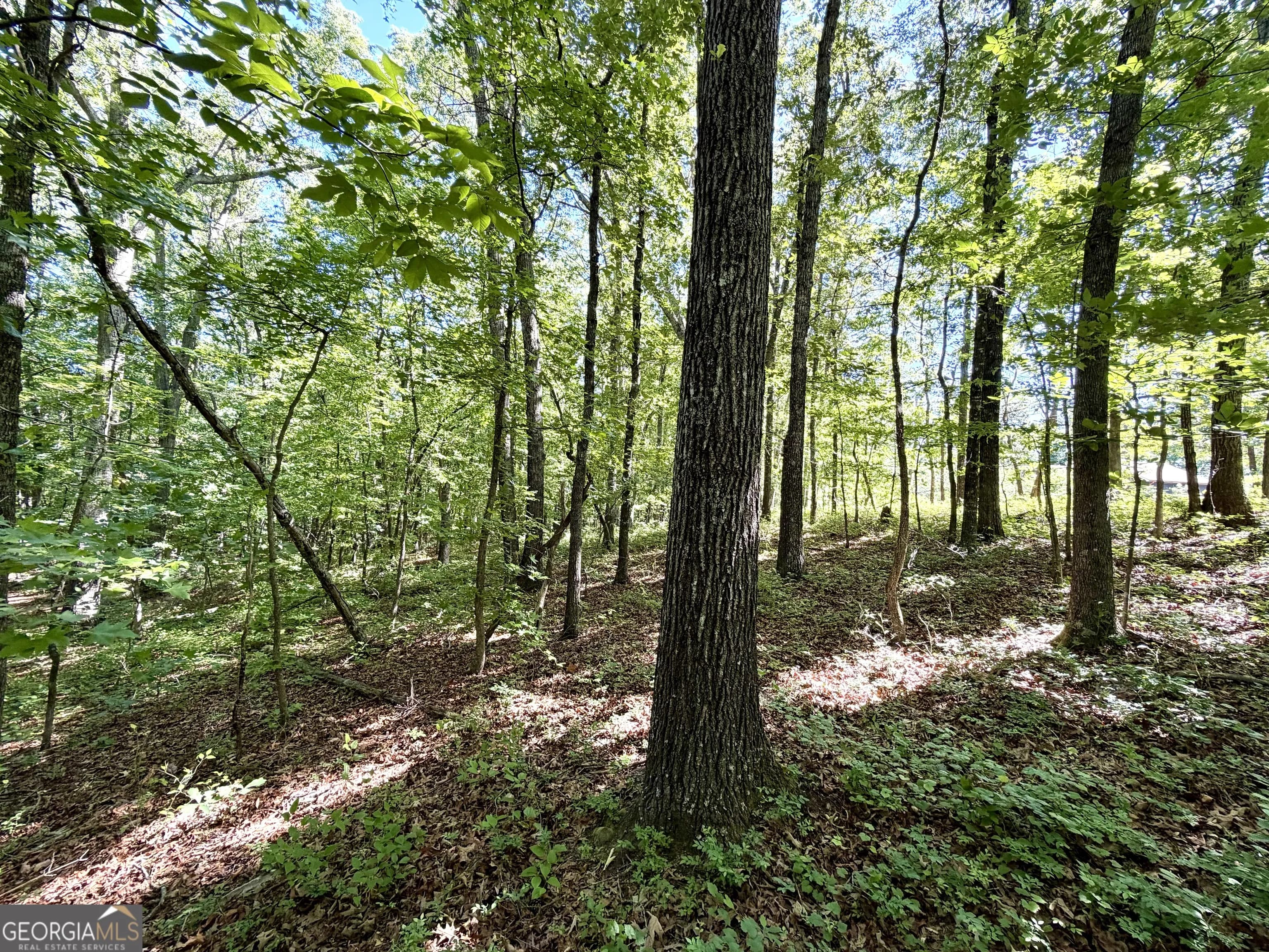 0 Leola Rd — photo 13 of 16