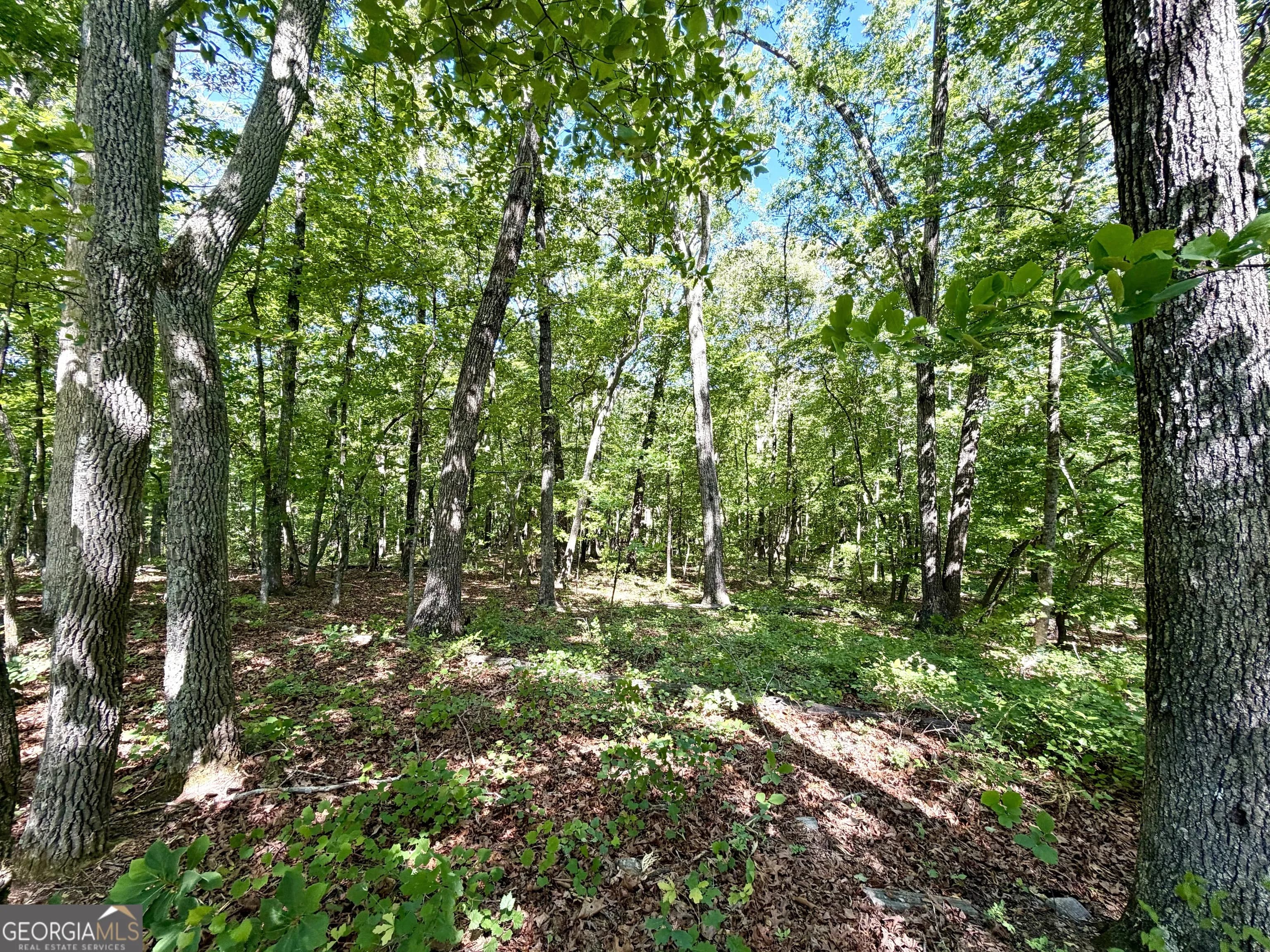 0 Leola Rd — photo 7 of 16