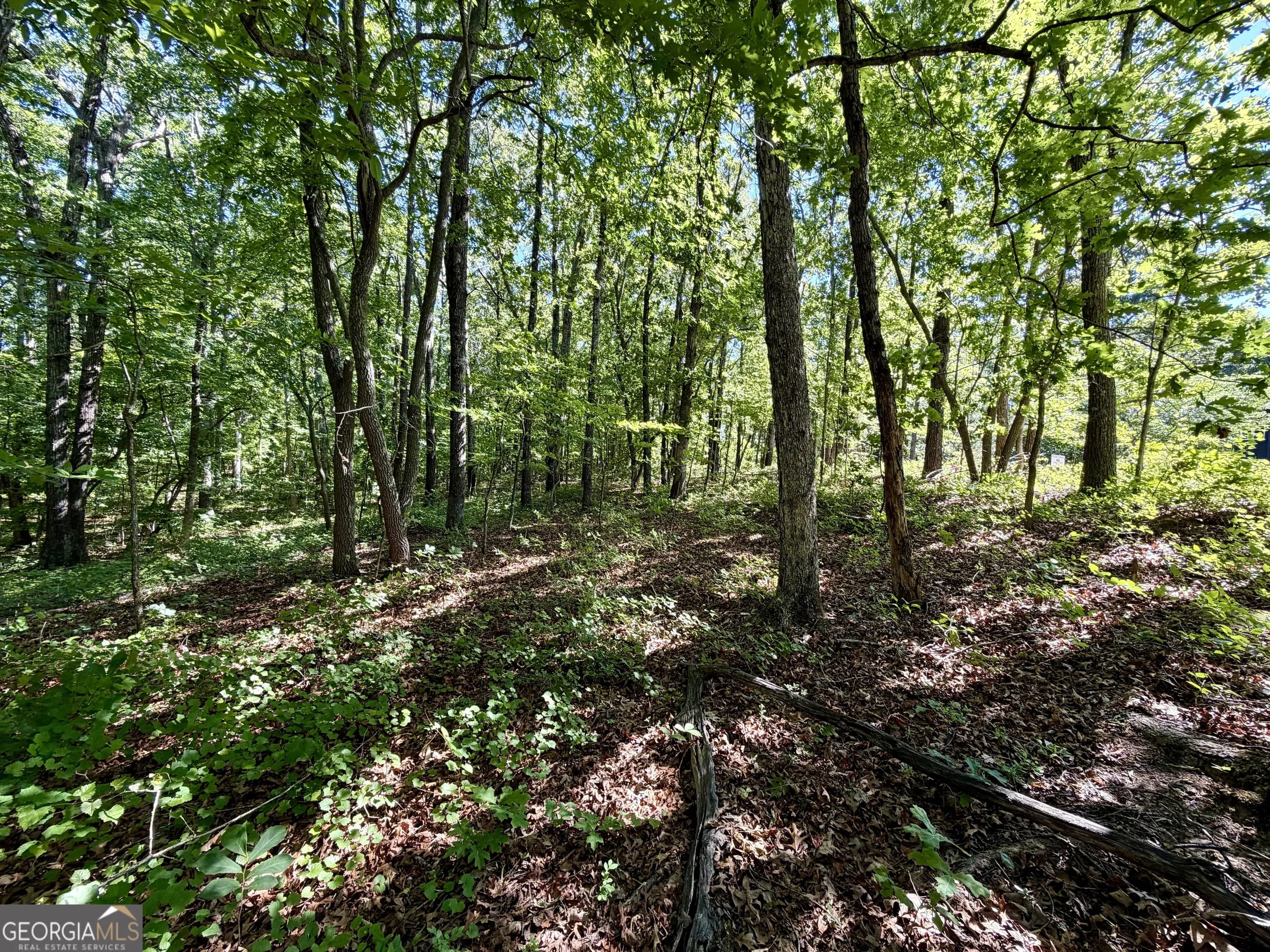 0 Leola Rd — photo 5 of 16