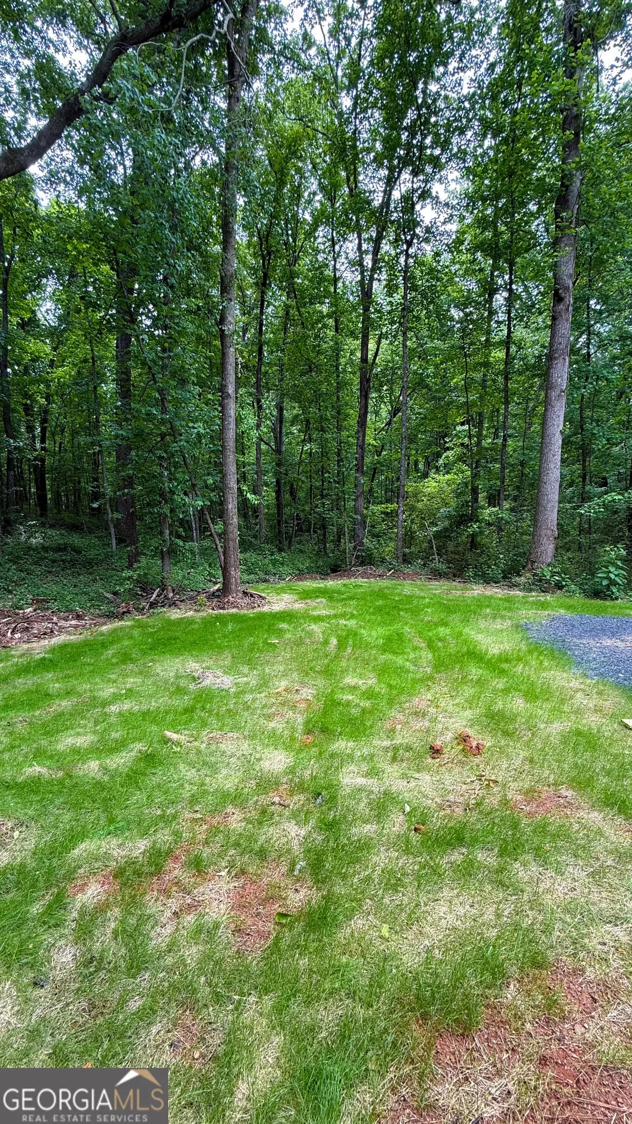 48 Martin St — photo 4 of 14