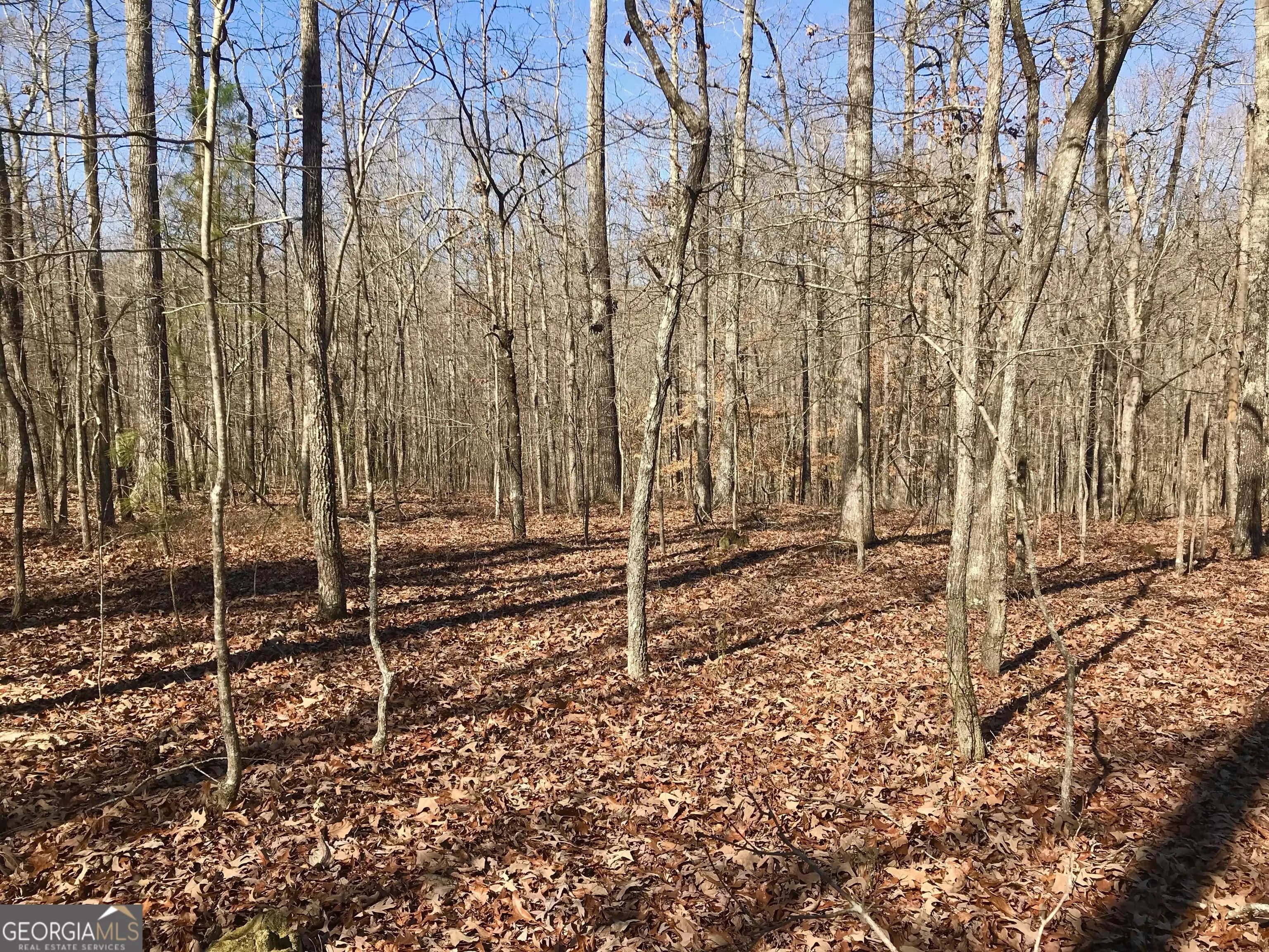 0 Big A Rd — photo 3 of 7