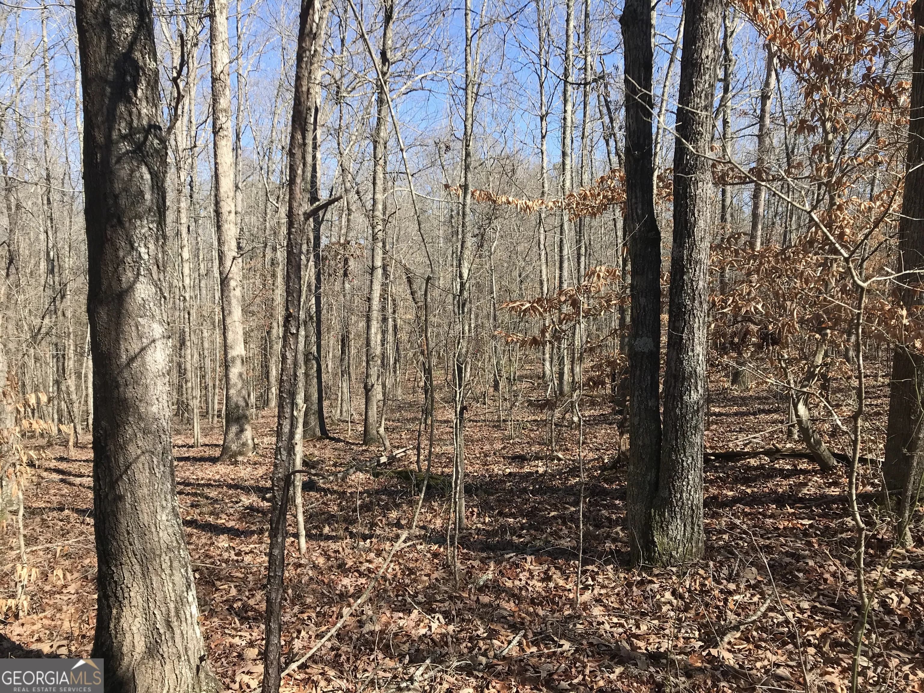 0 Big A Rd — photo 6 of 7