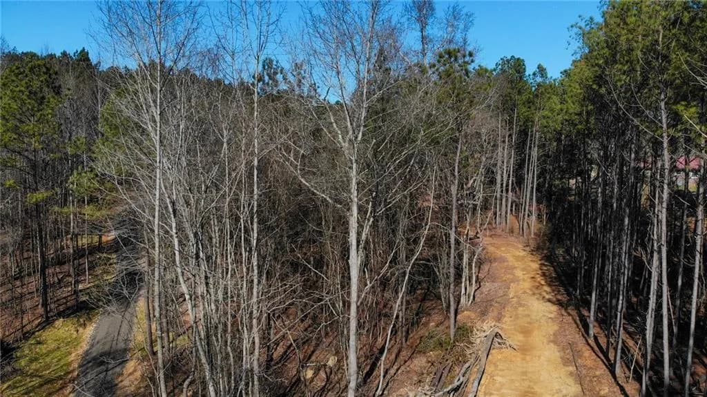 5.168 Acres On Pete Path, Dallas