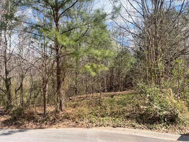 78 Heights Hollow, Acworth