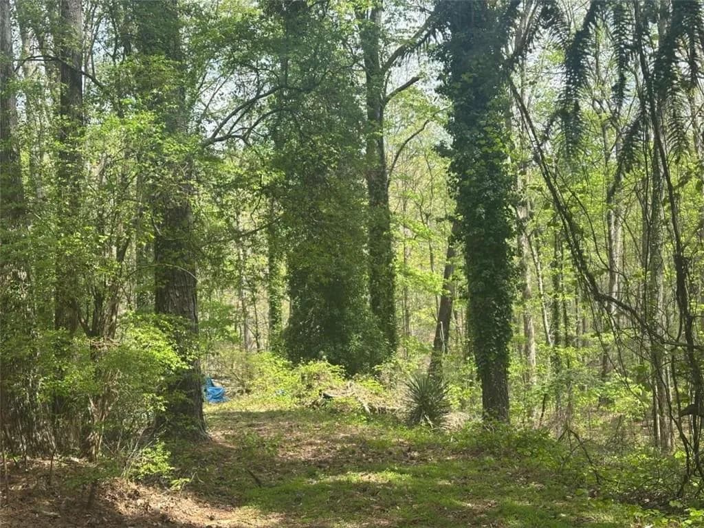 00 Yancey Road, Douglasville