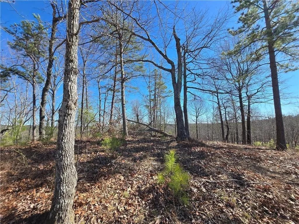0 Brushy Mountain Road, Rockmart