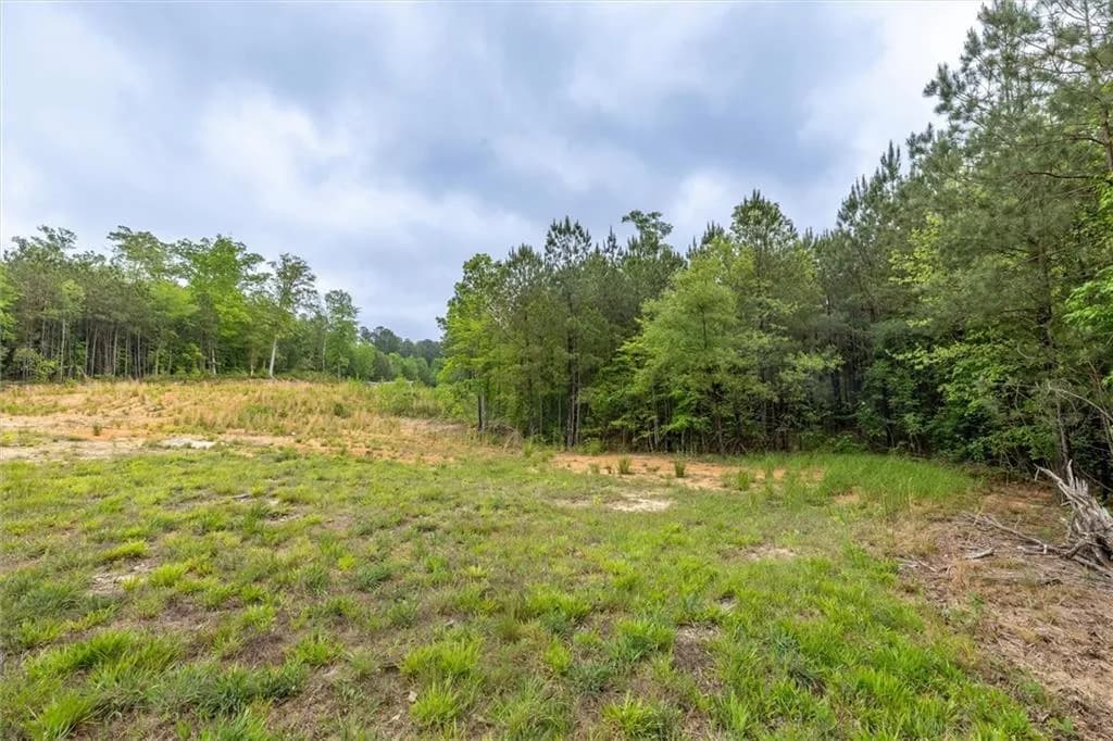 Gorgeous partially cleared lot!