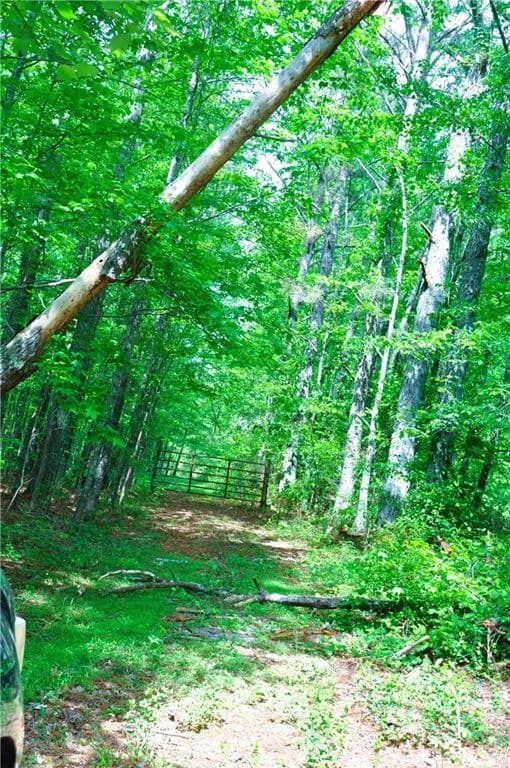 View of nature with a view of trees