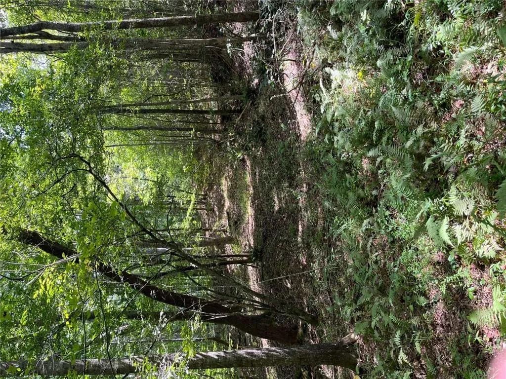 0 Ga Highway 120, Tallapoosa