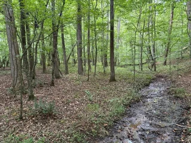 5741 Five Notch Trail, Douglasville