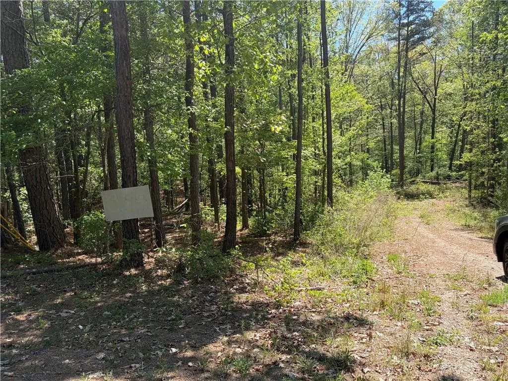0 Gore Lakes Road, Dallas
