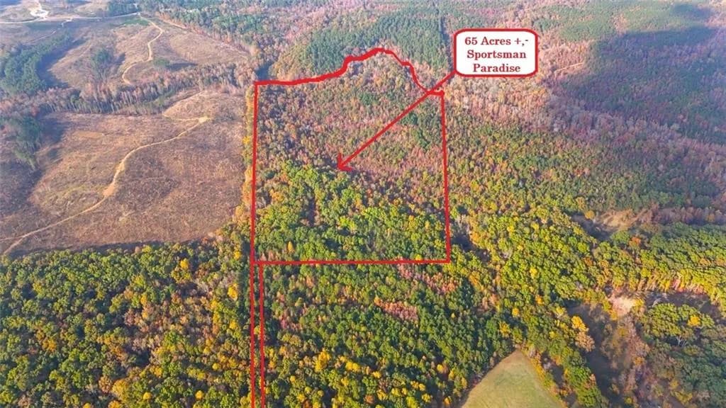 00001 Poplar Springs Road, Buchanan