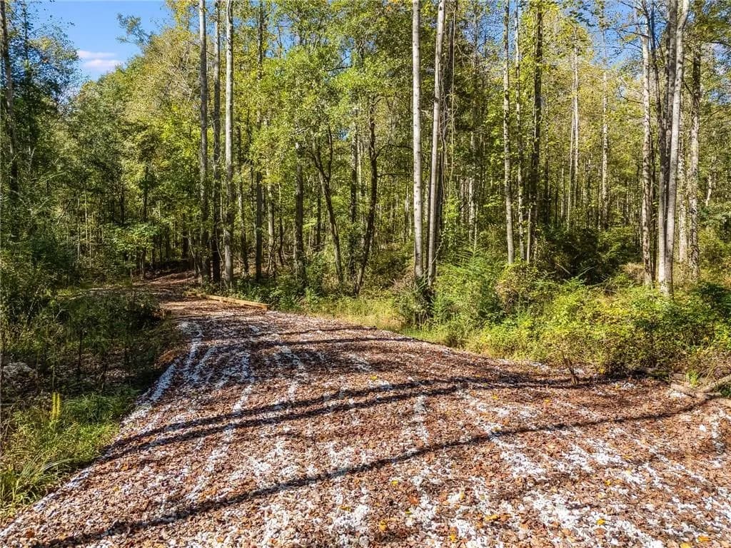 View of road featuring a view of trees