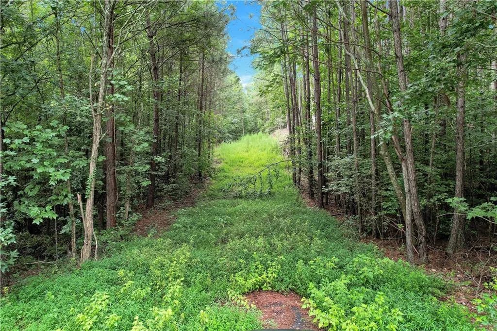 5287 Yeager Road, Douglasville
