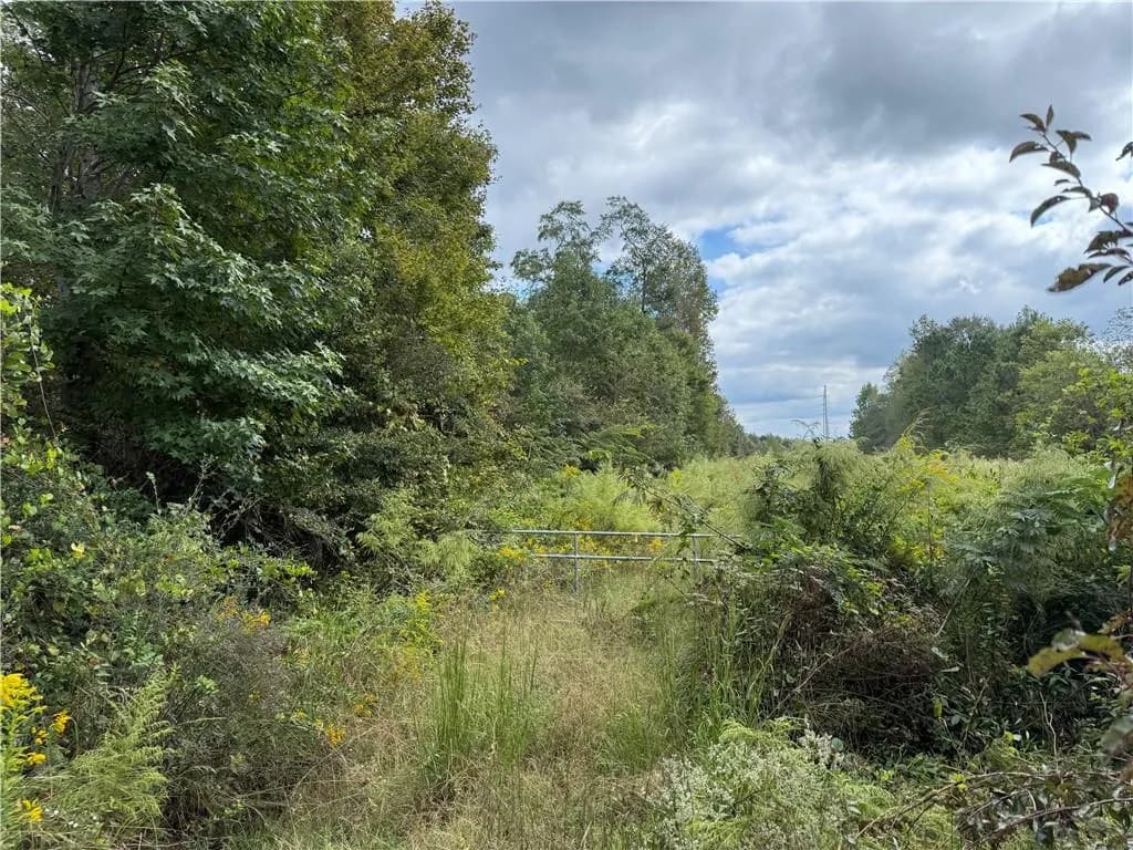 0 Magnolia Avenue, Bowdon