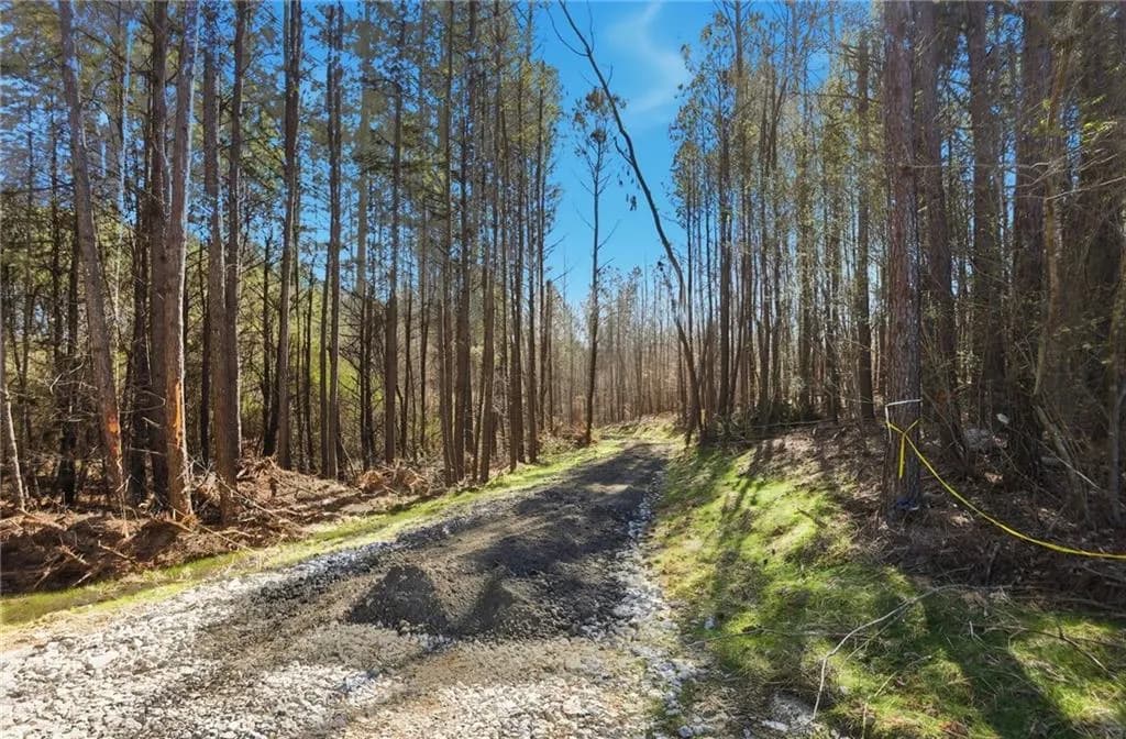 5.785 Acres On Orlando Path, Dallas