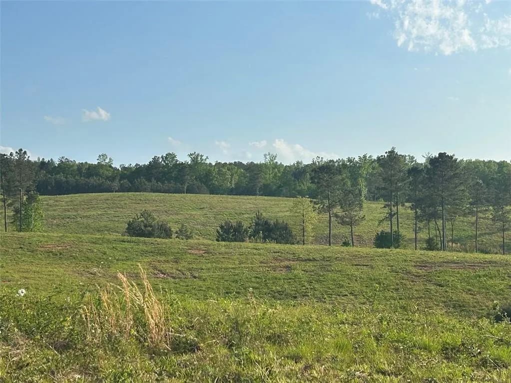0 Needmore Rd Unit (345.37 Acres), Roopville