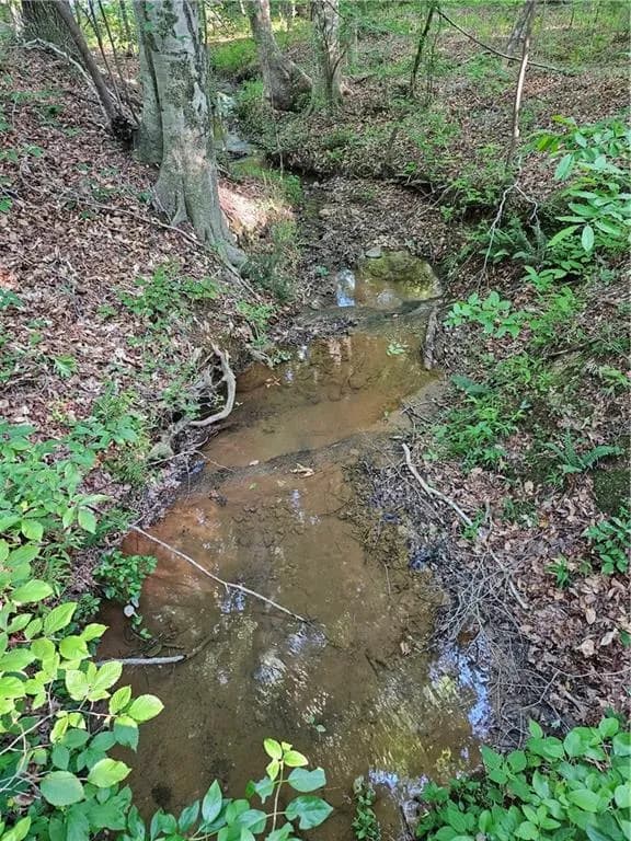 0 Ponderosa Trail, Dallas
