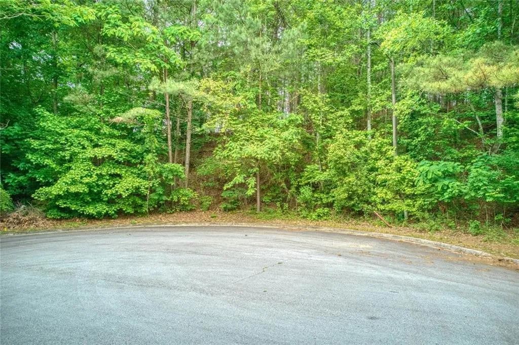 2715 Brass Lantern Court, Douglasville