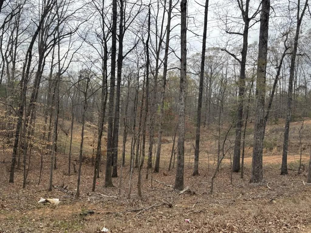 0 Summer Lake Road, Lithia Springs